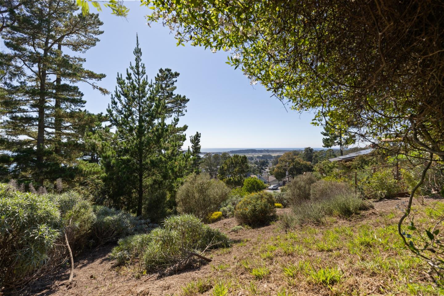 115 Del Monte Road