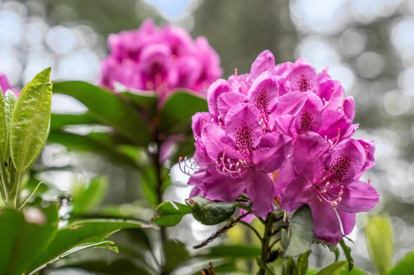 13872 Silver Sky Way