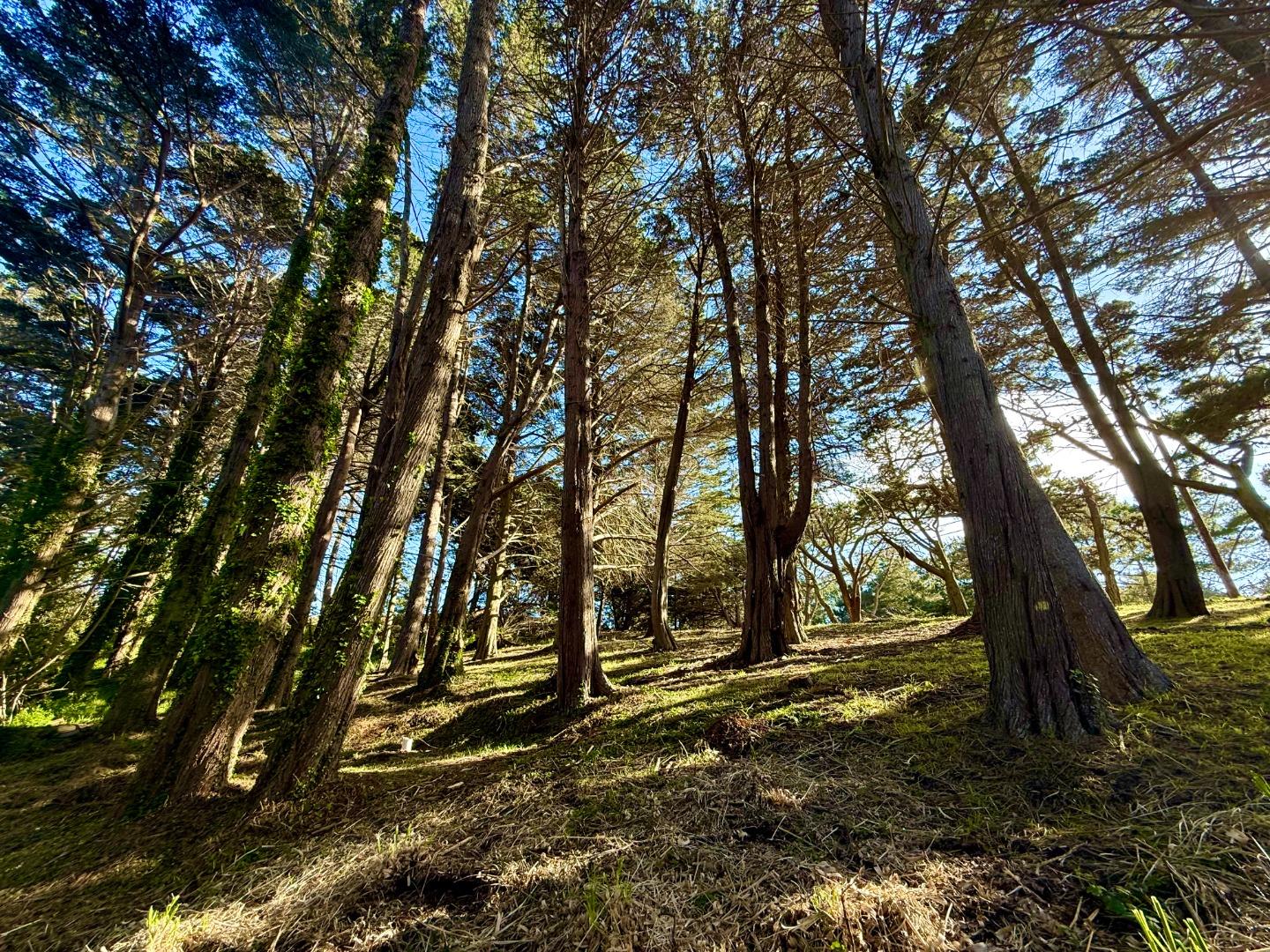 037022240 Carlos Street