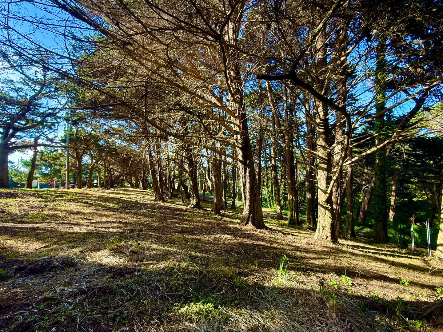 037022240 Carlos Street