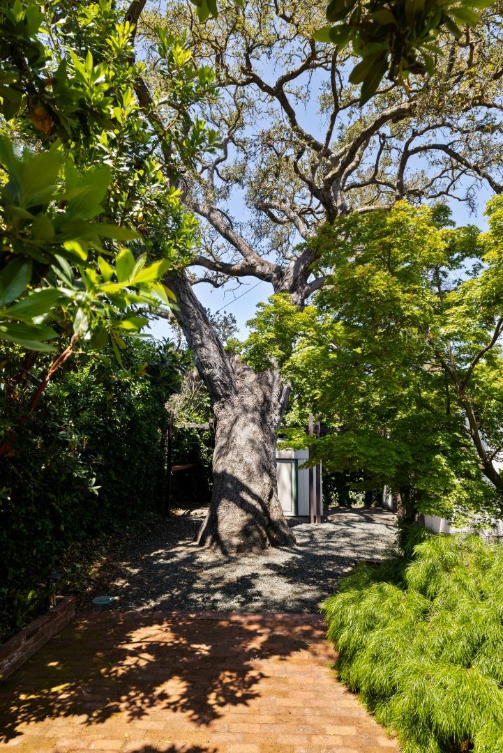 225 Coleridge Avenue