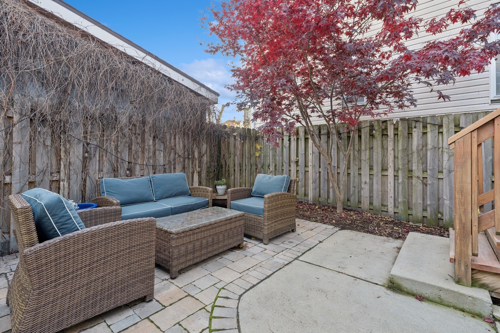 Backyard patio with wicker seating, a wooden privacy fence, and a red-leaved Japanese maple.