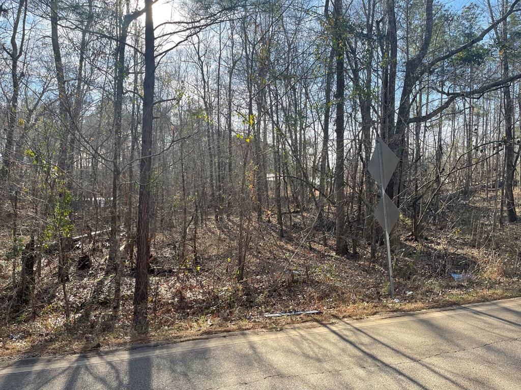 299 LITTLE RIVER TRAIL