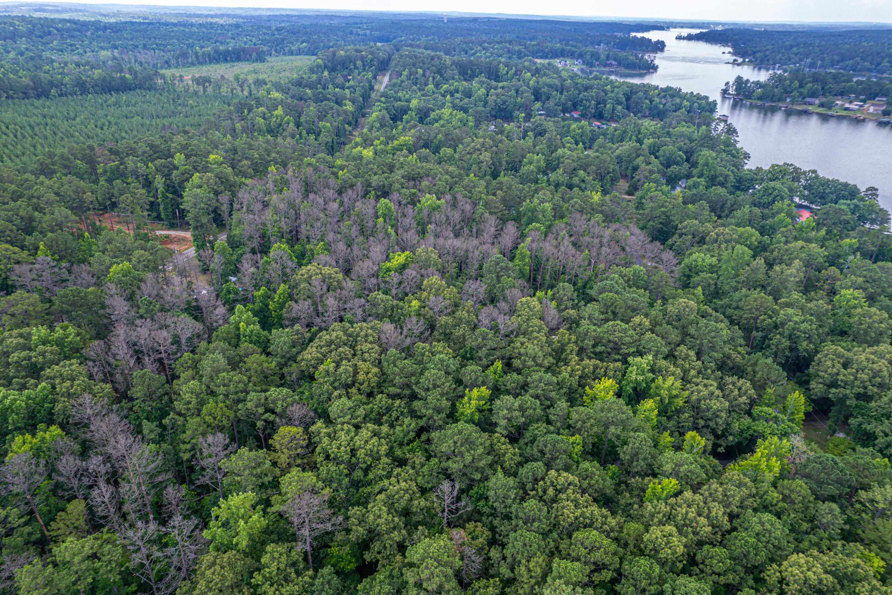 256 BLACK OAK DRIVE