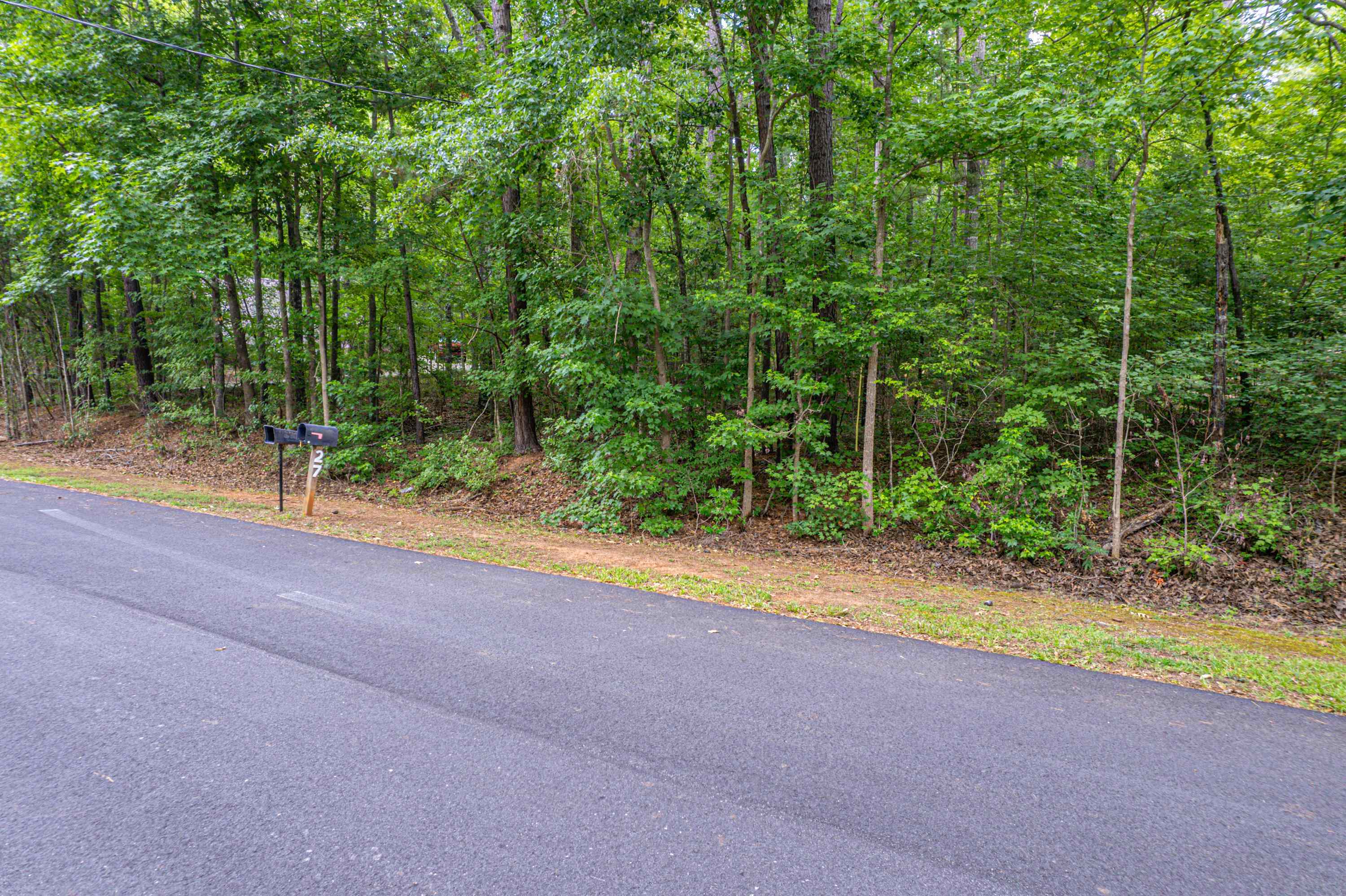 256 BLACK OAK DRIVE