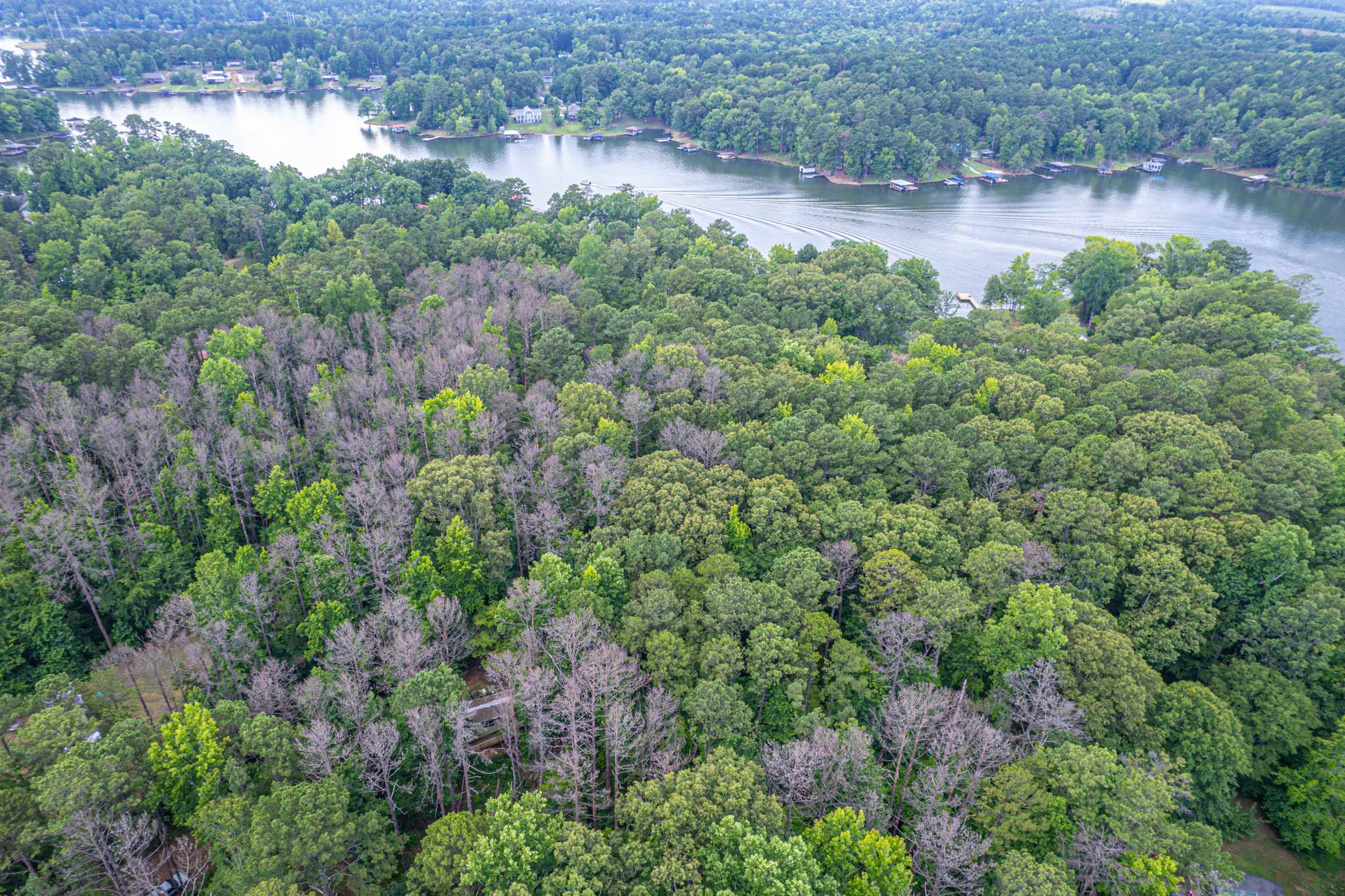 256 BLACK OAK DRIVE