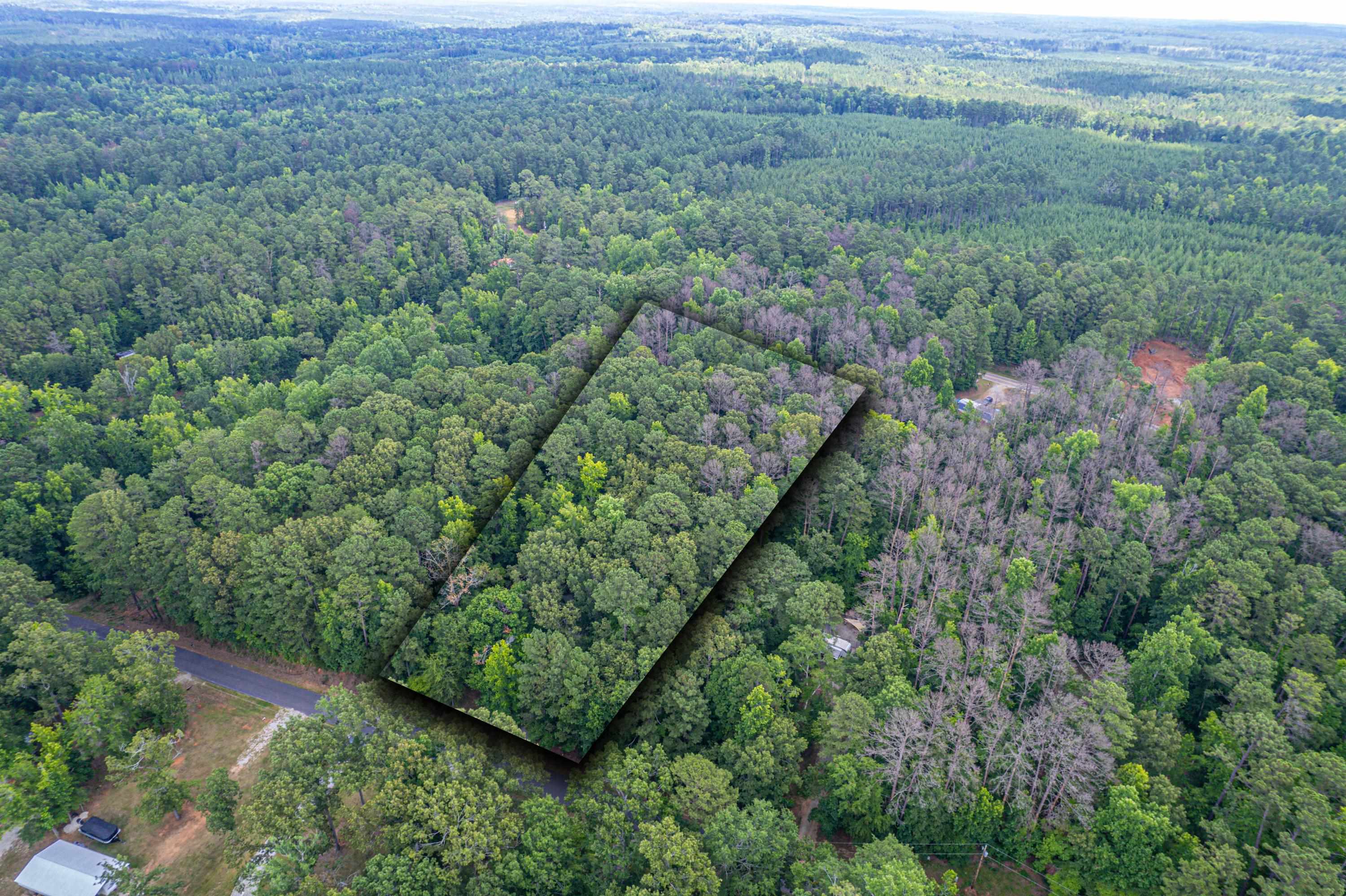 256 BLACK OAK DRIVE