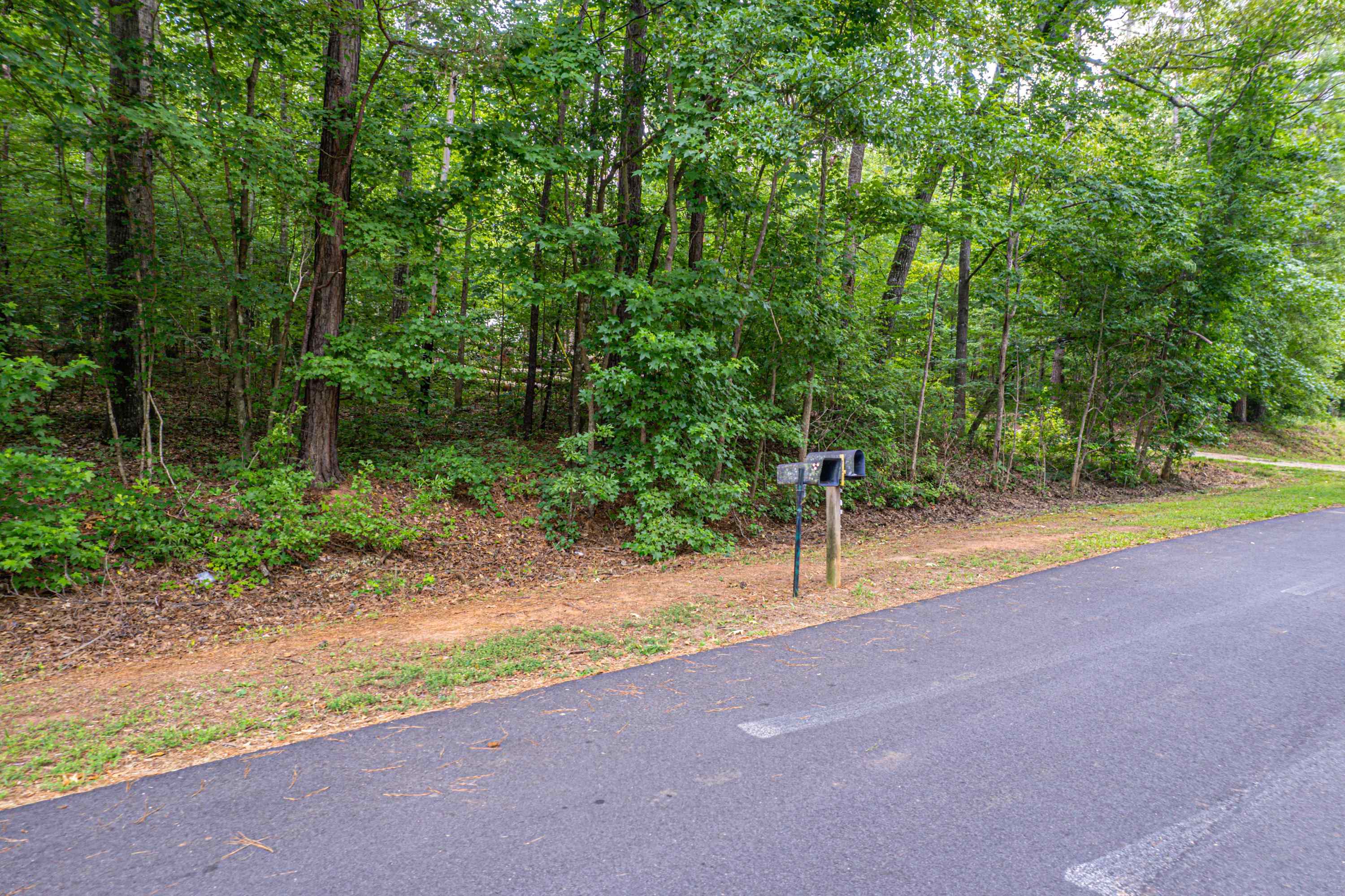 256 BLACK OAK DRIVE