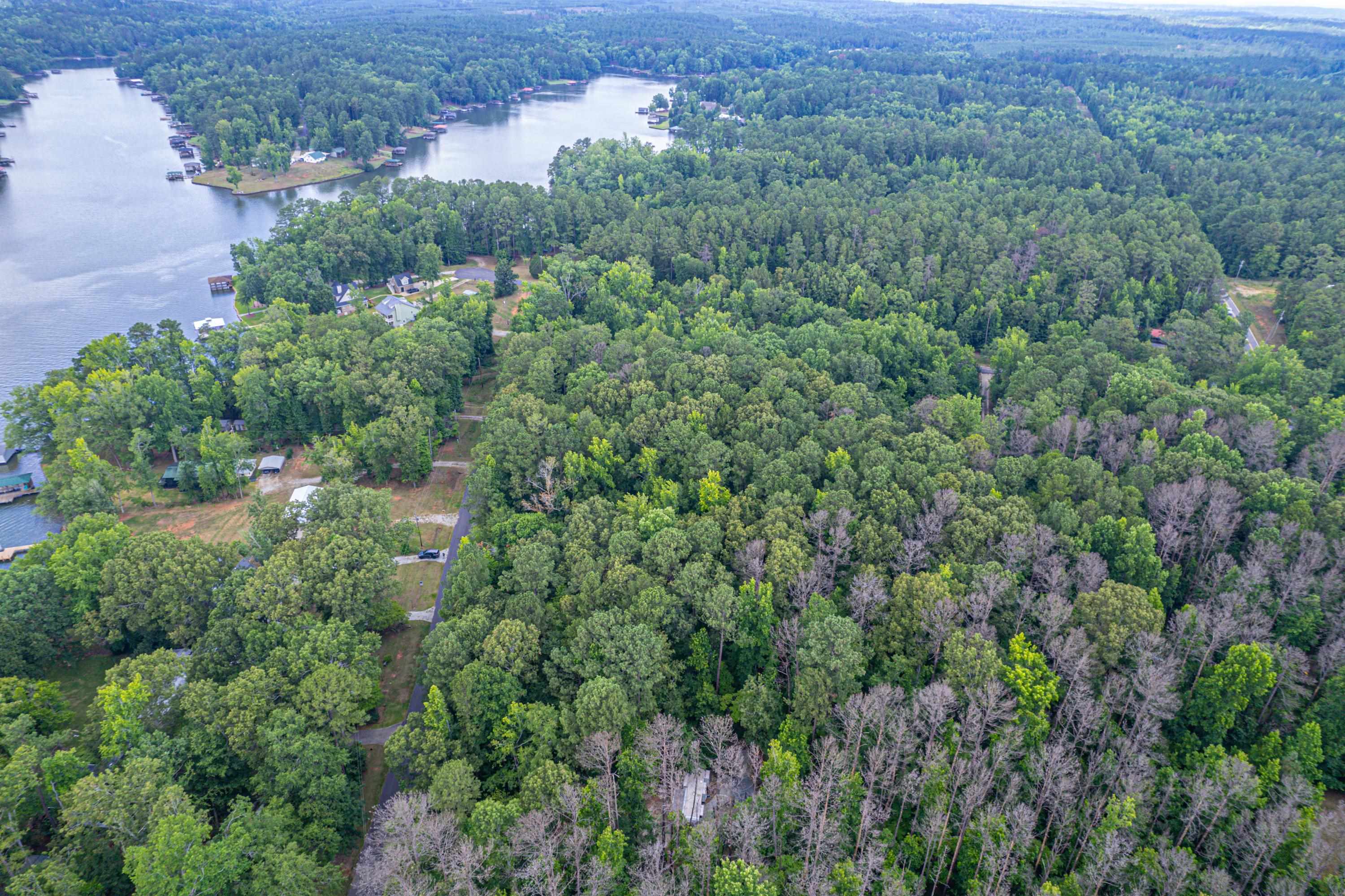256 BLACK OAK DRIVE