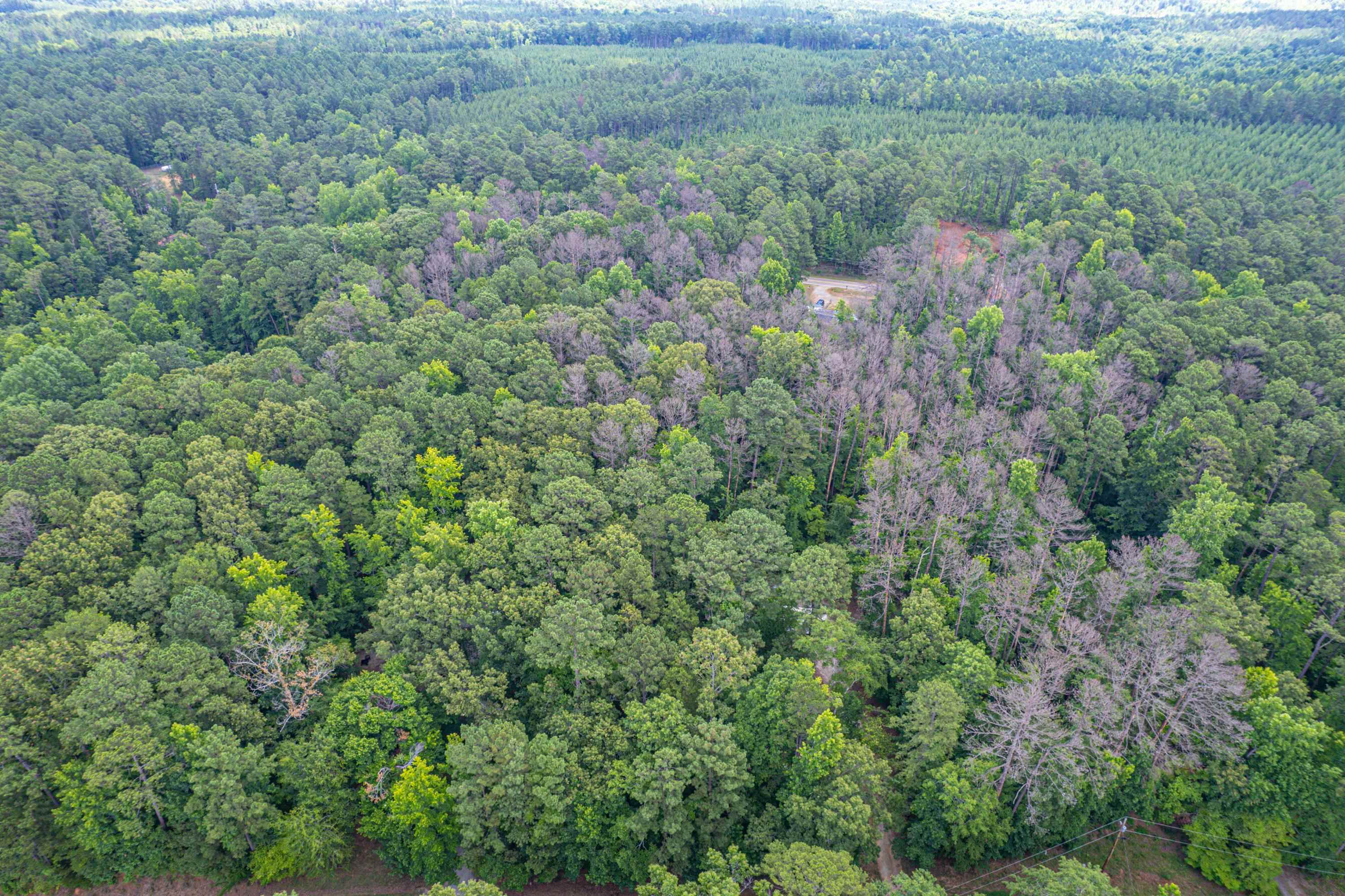 256 BLACK OAK DRIVE