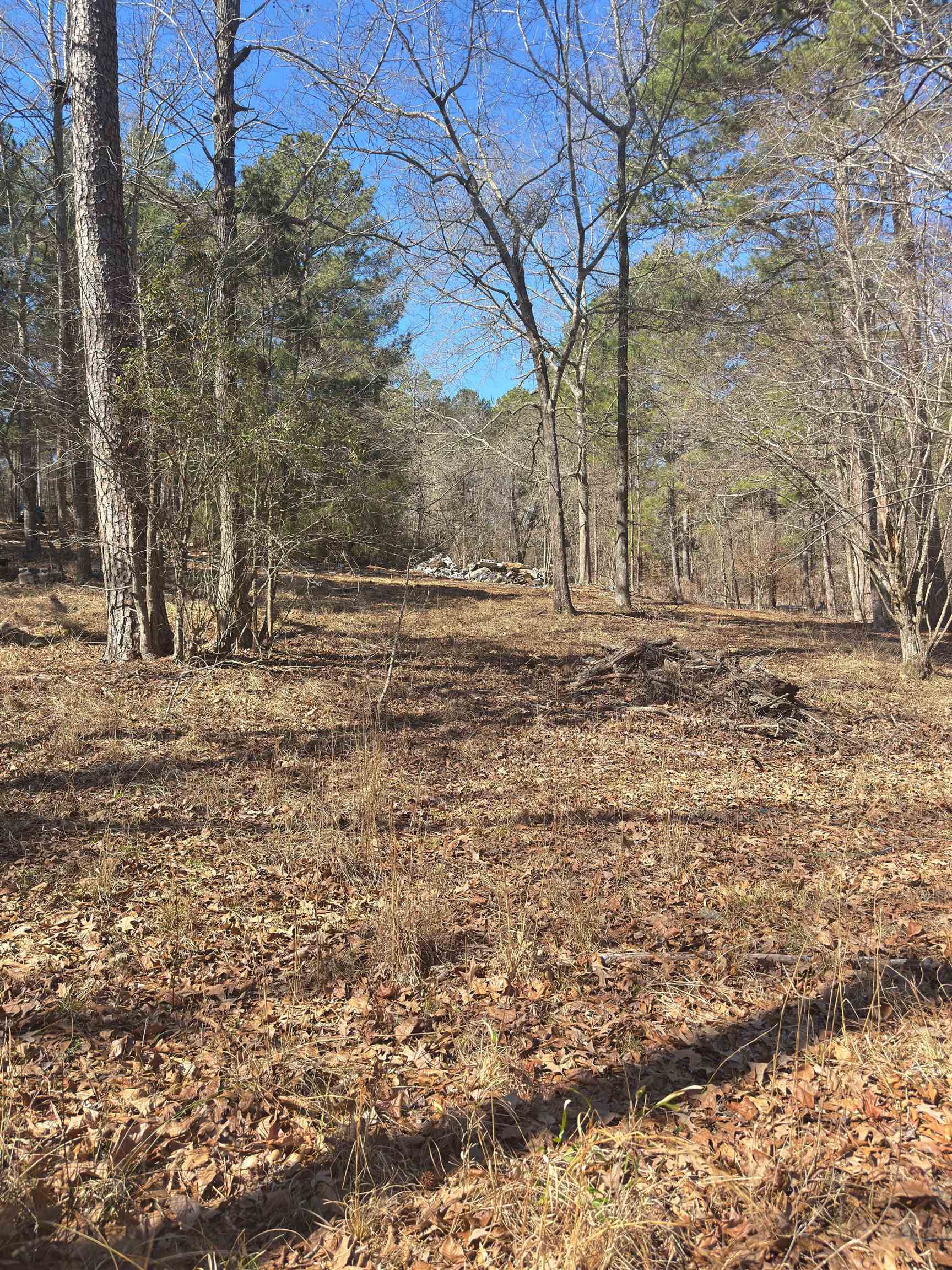 536 ROCKVILLE SPRINGS DRIVE