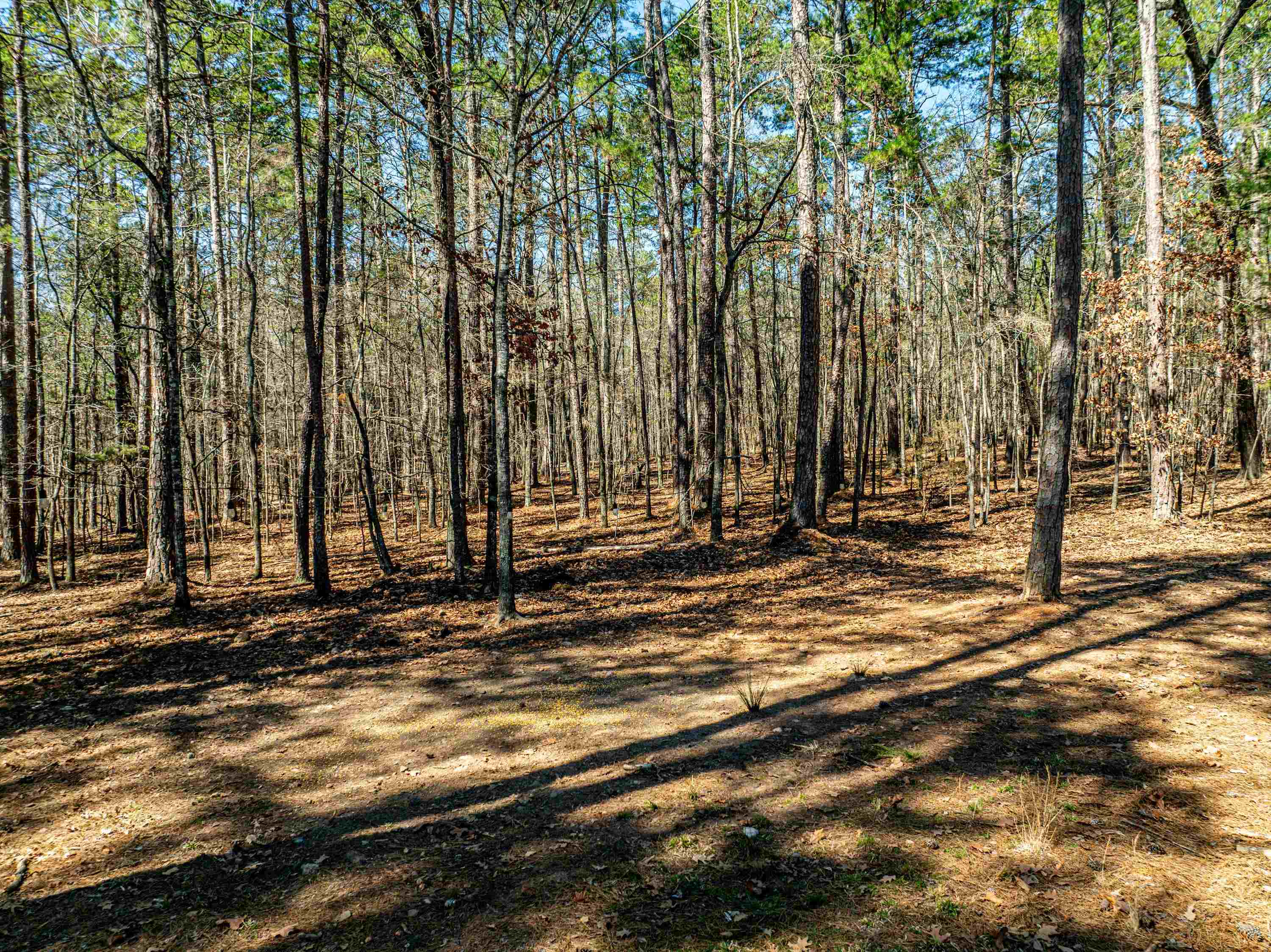 155 WATERS EDGE DRIVE