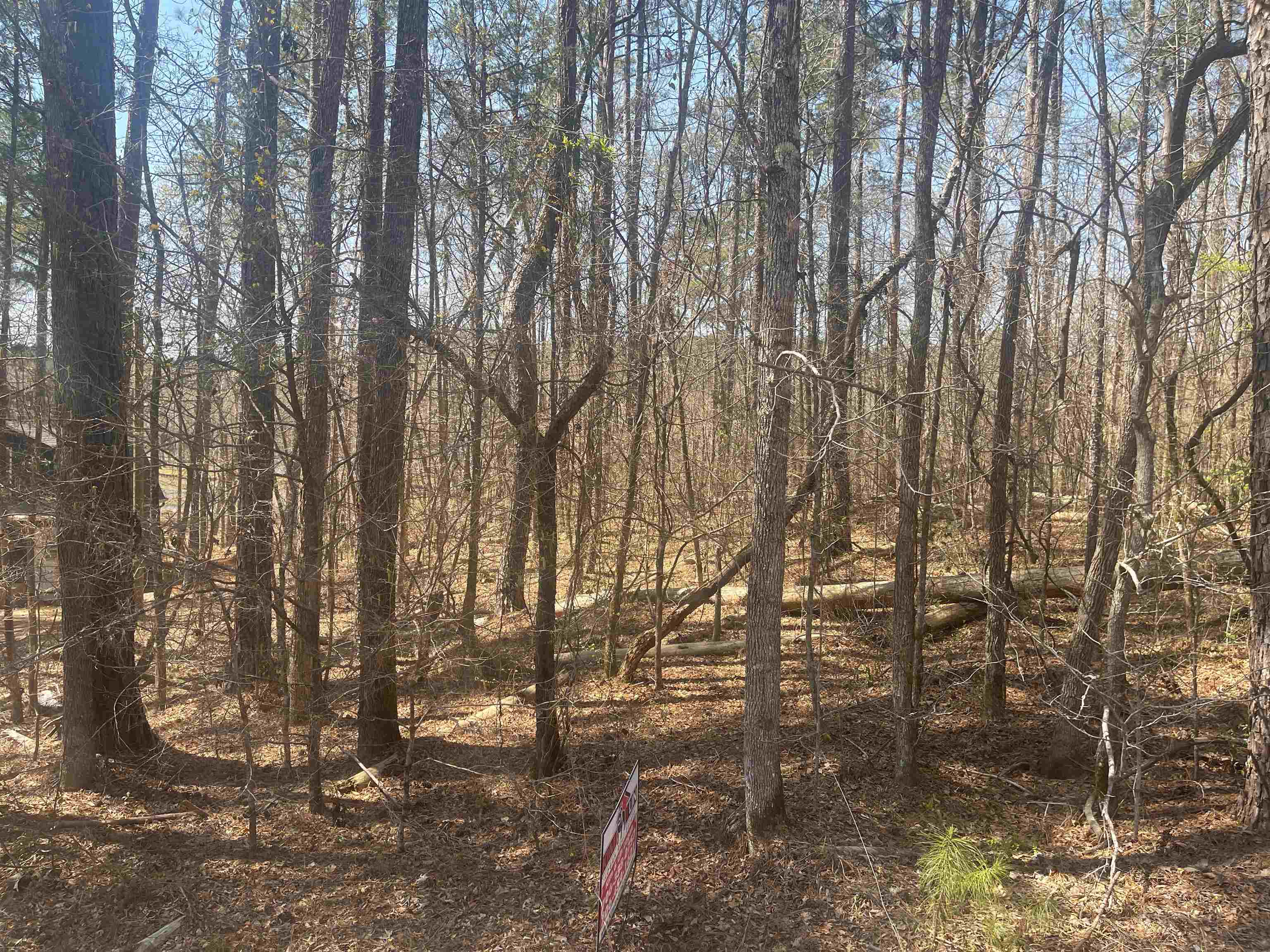 485 CEDAR DRIVE