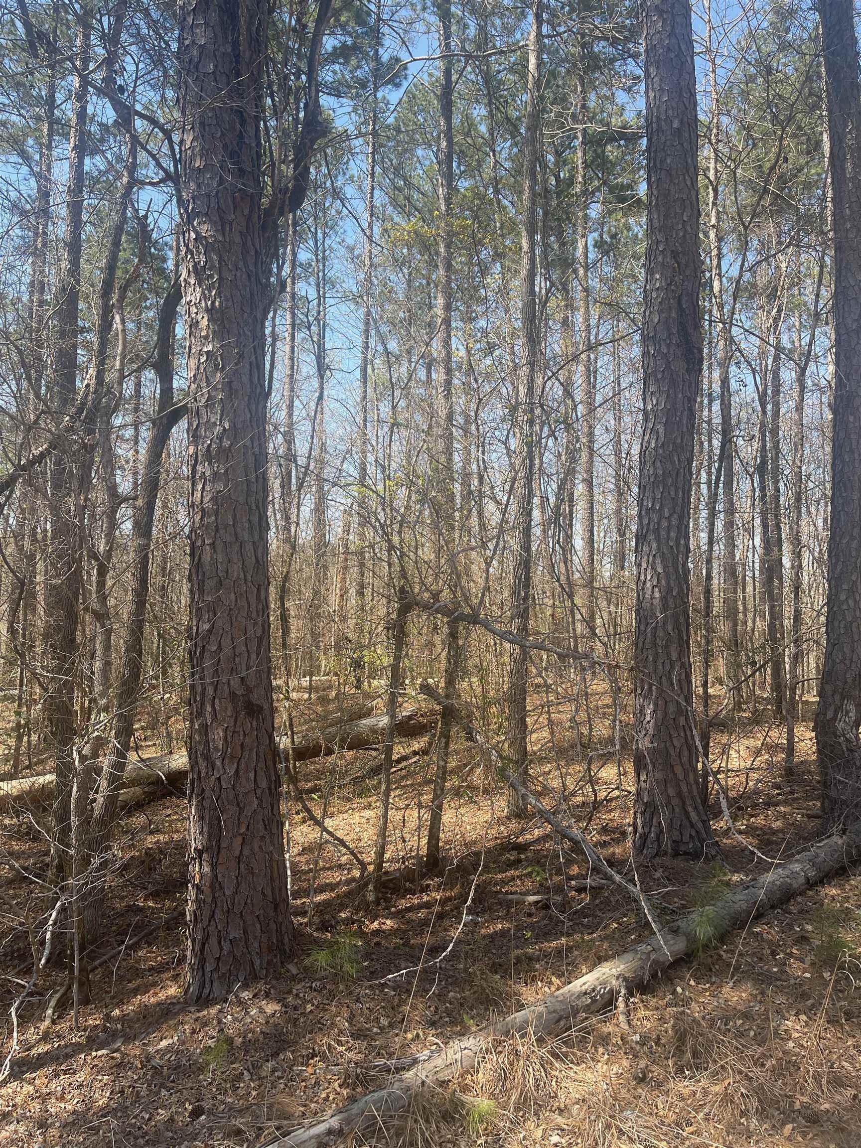 485 CEDAR DRIVE