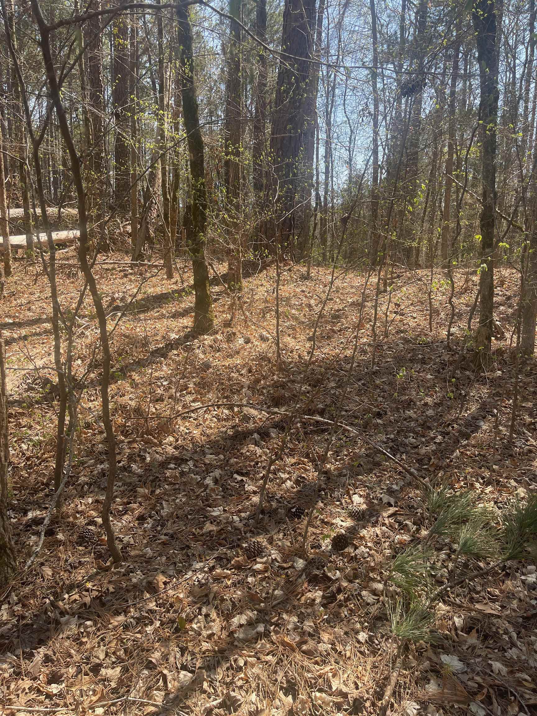 485 CEDAR DRIVE