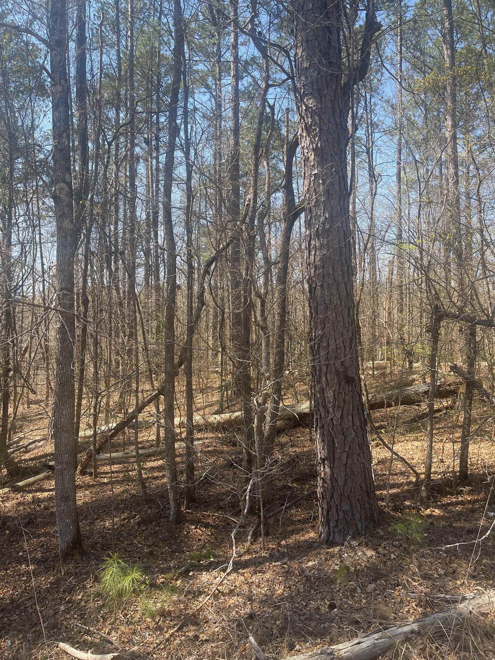 485 CEDAR DRIVE
