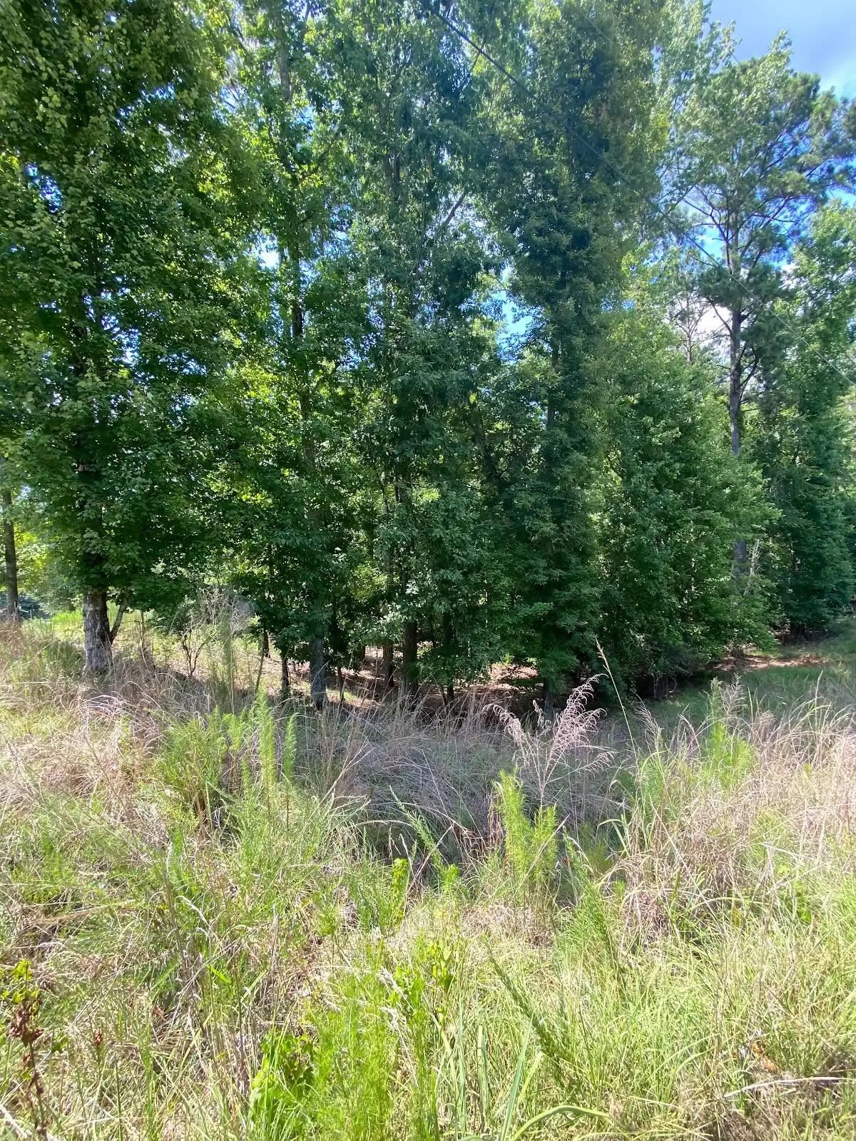 200 ERIN SHORES DRIVE