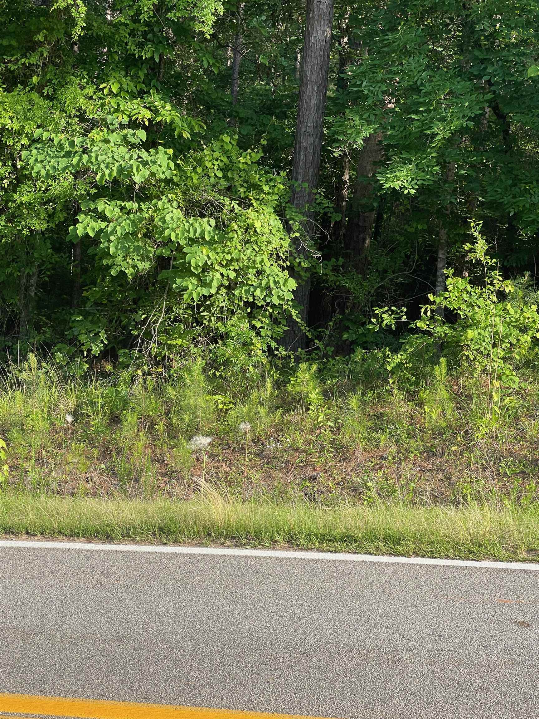 Lot #6 LAKE SINCLAIR DRIVE