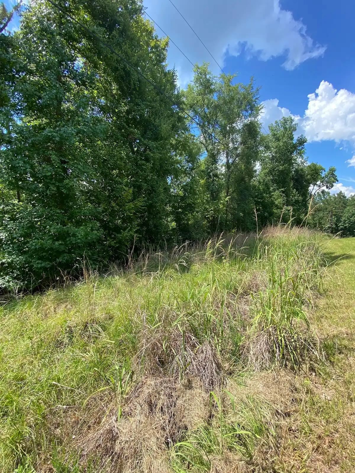 Lot #6 LAKE SINCLAIR DRIVE