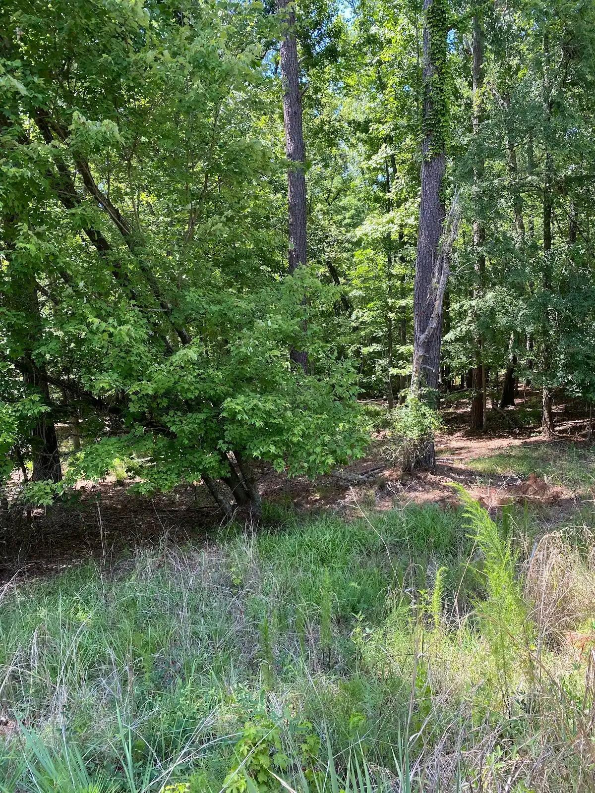 Lot # 7 LAKE SINCLAIR DRIVE