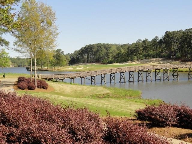 1181 ROSE CREEK