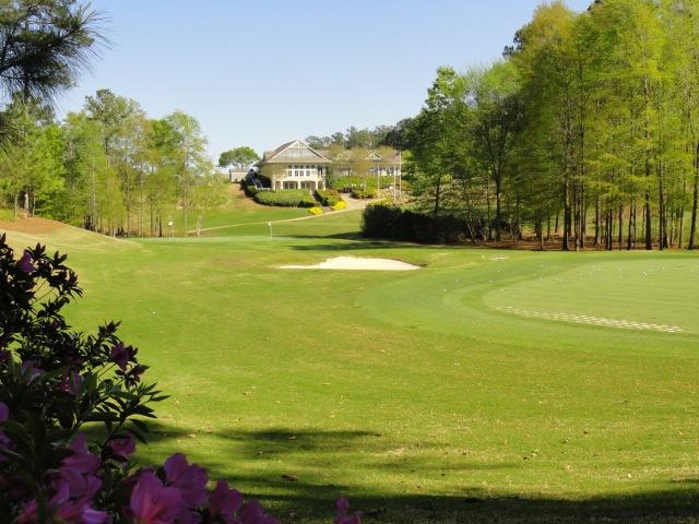 1181 ROSE CREEK