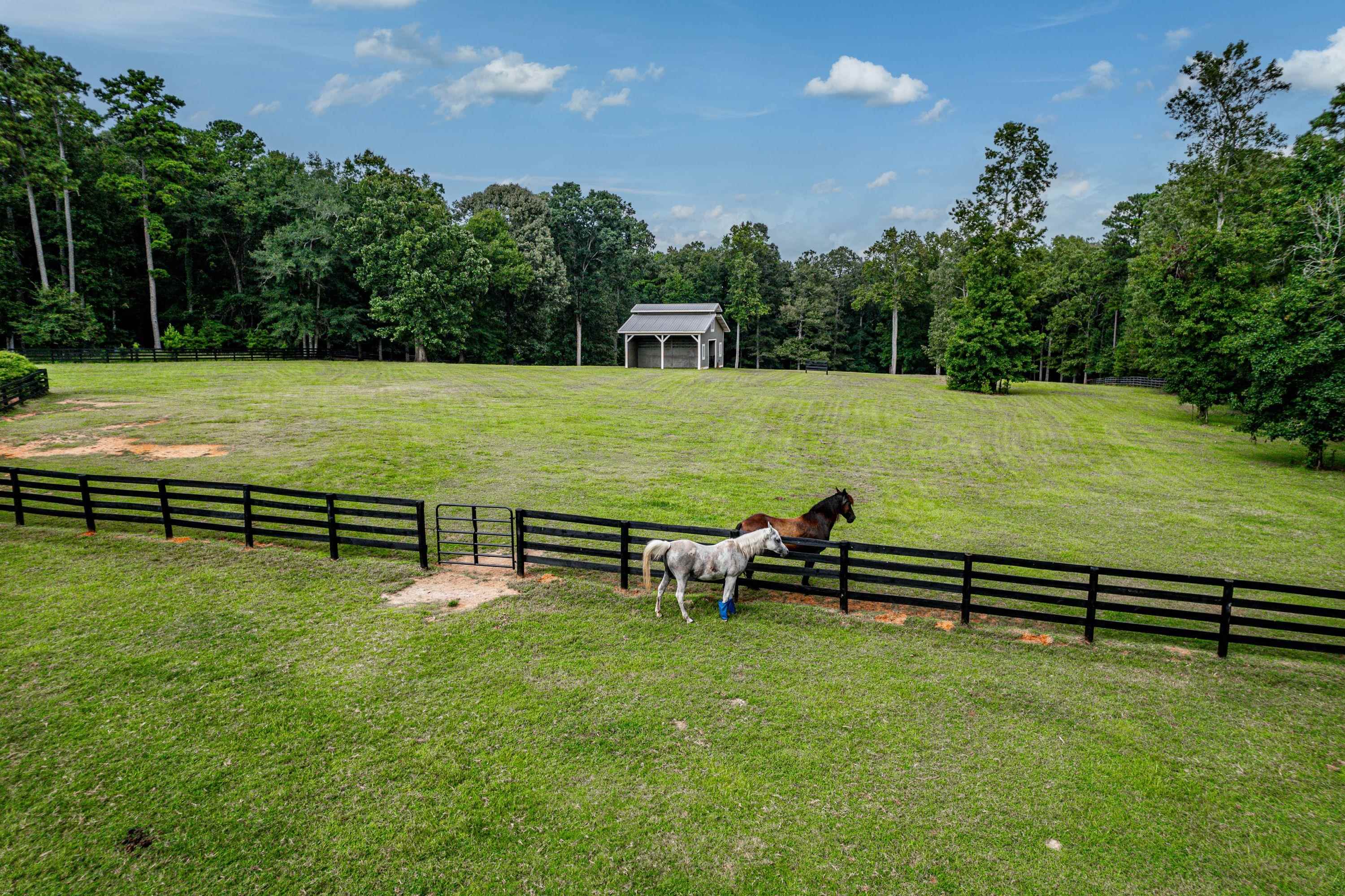 108 WALKING HORSE LANE