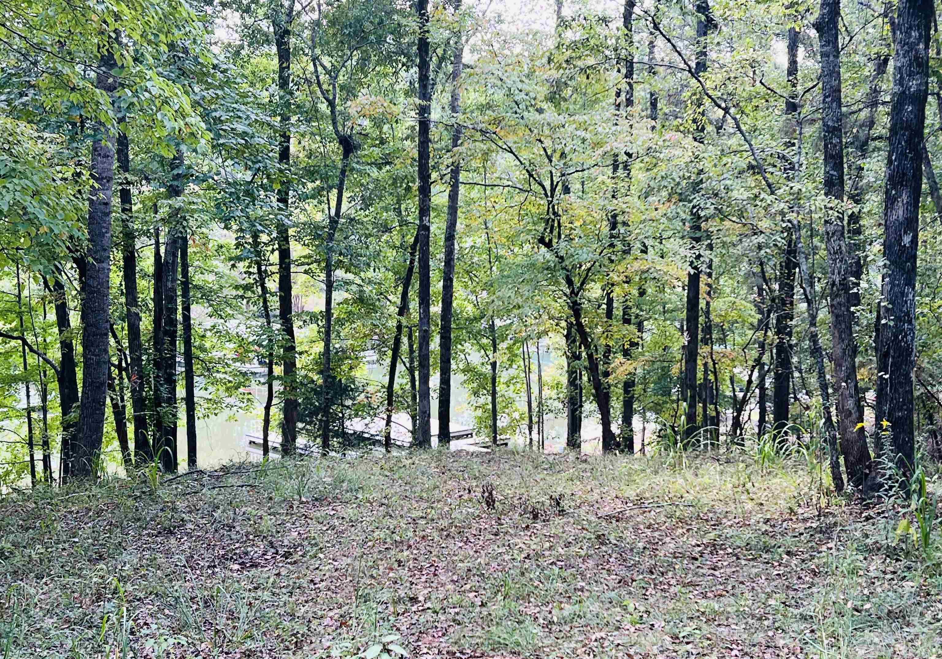 1511 WHITE OAK DRIVE # 61