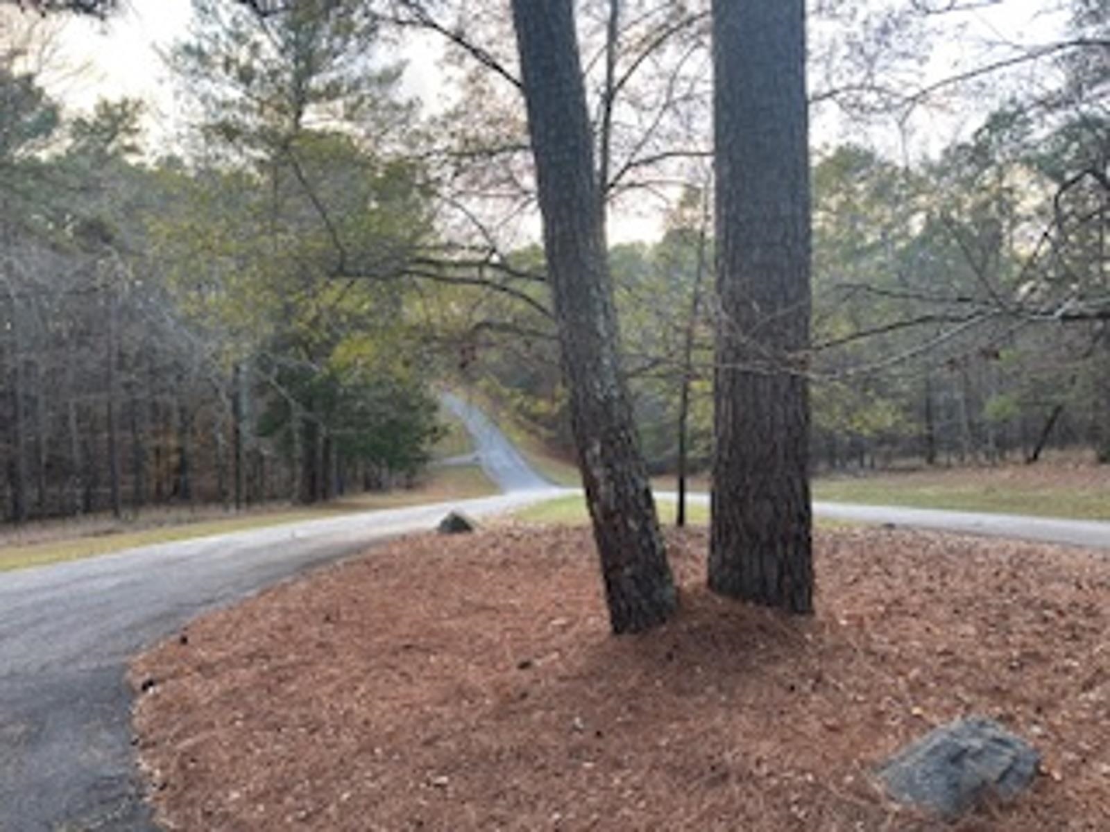 1281 CEDAR RIDGE DRIVE # 20