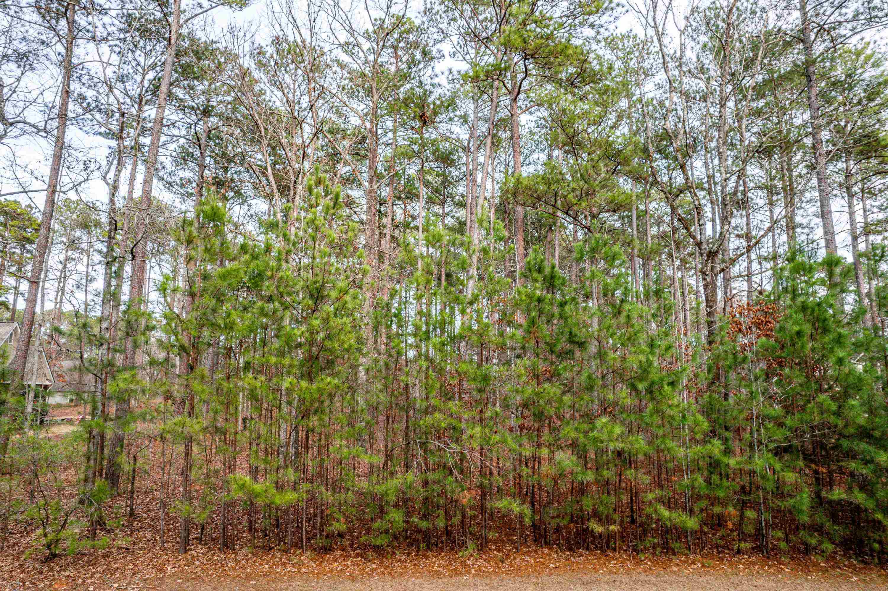 1770 GARNERS FERRY # 76