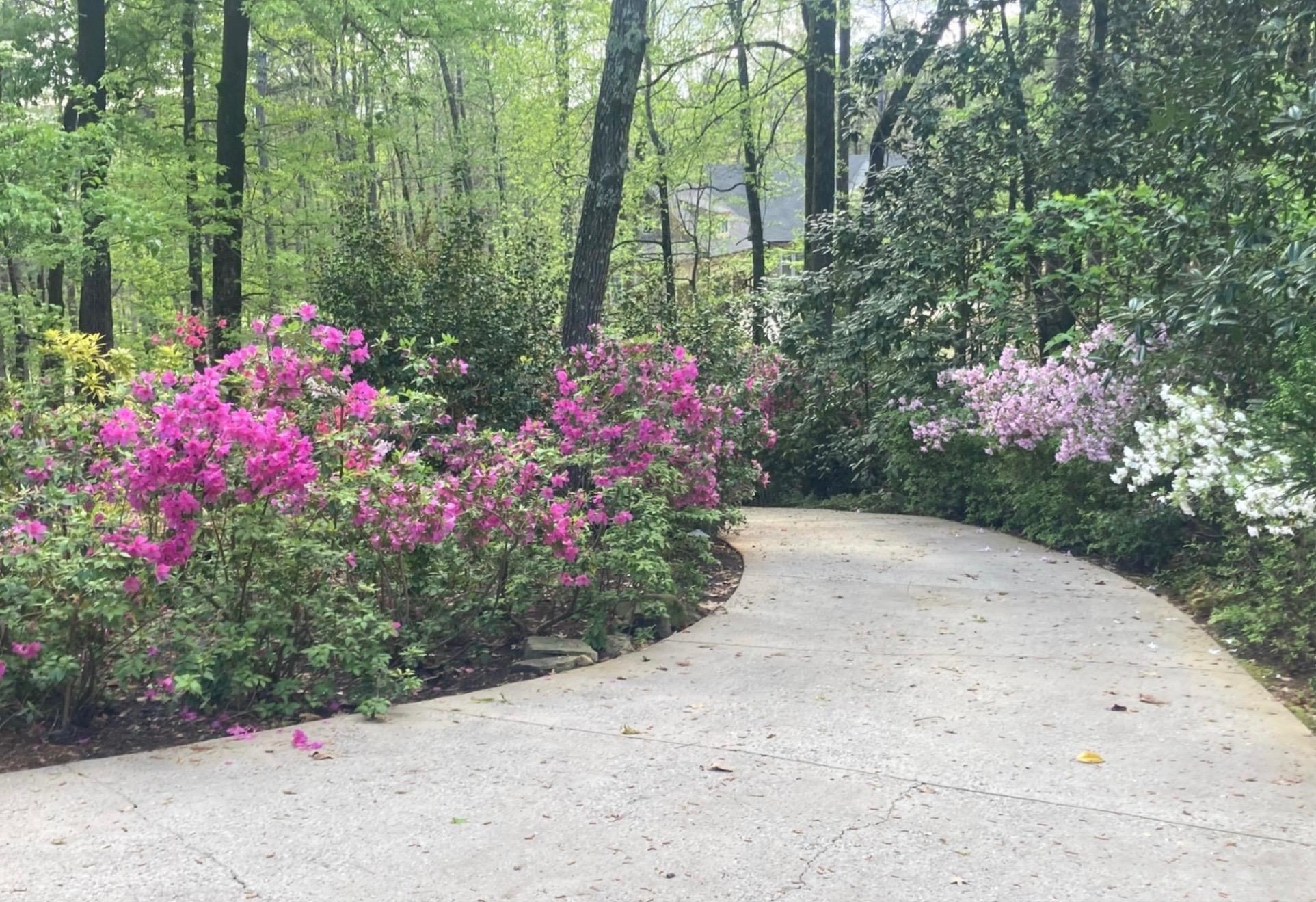 1091 MAPLE RIDGE WAY