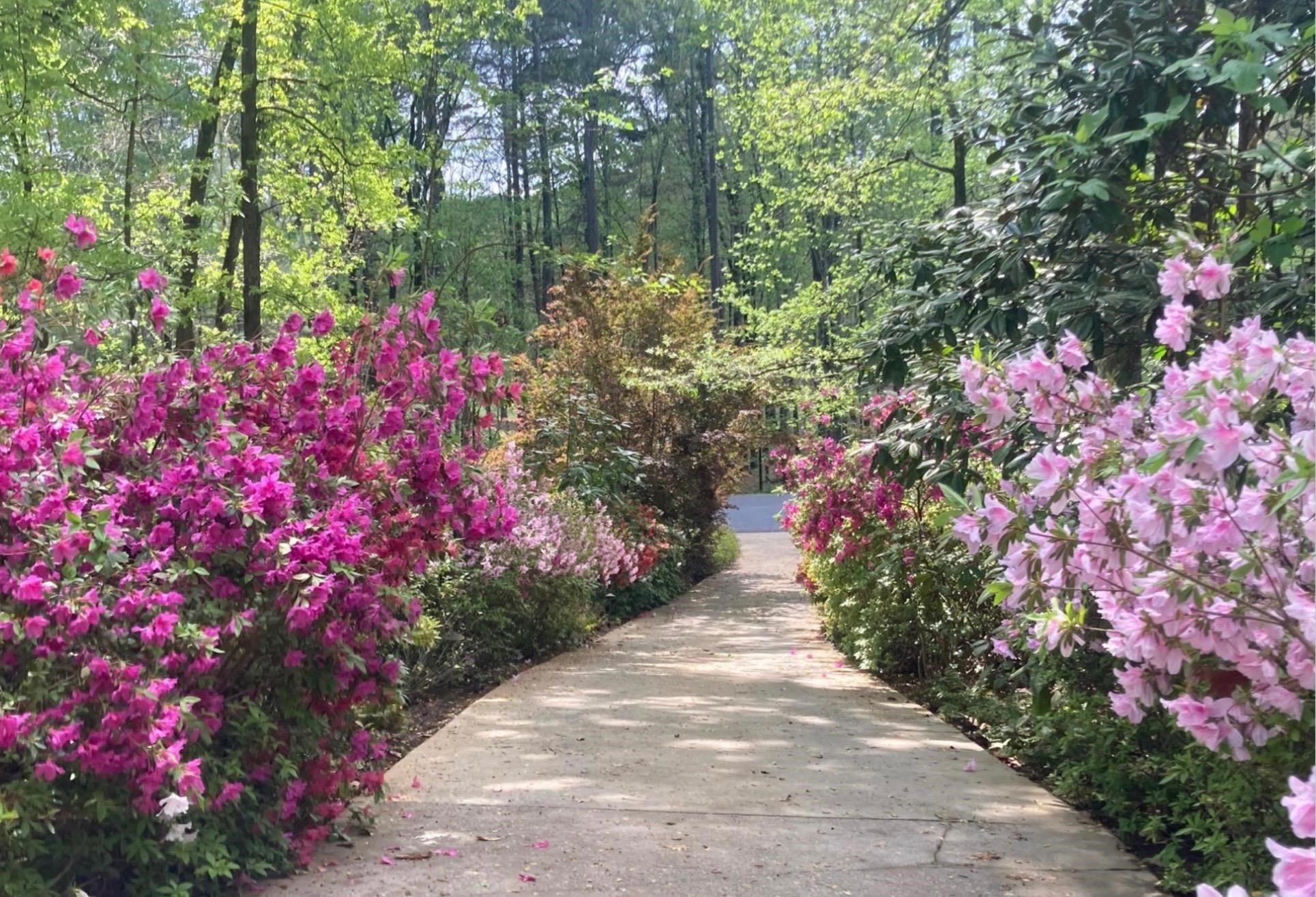 1091 MAPLE RIDGE WAY