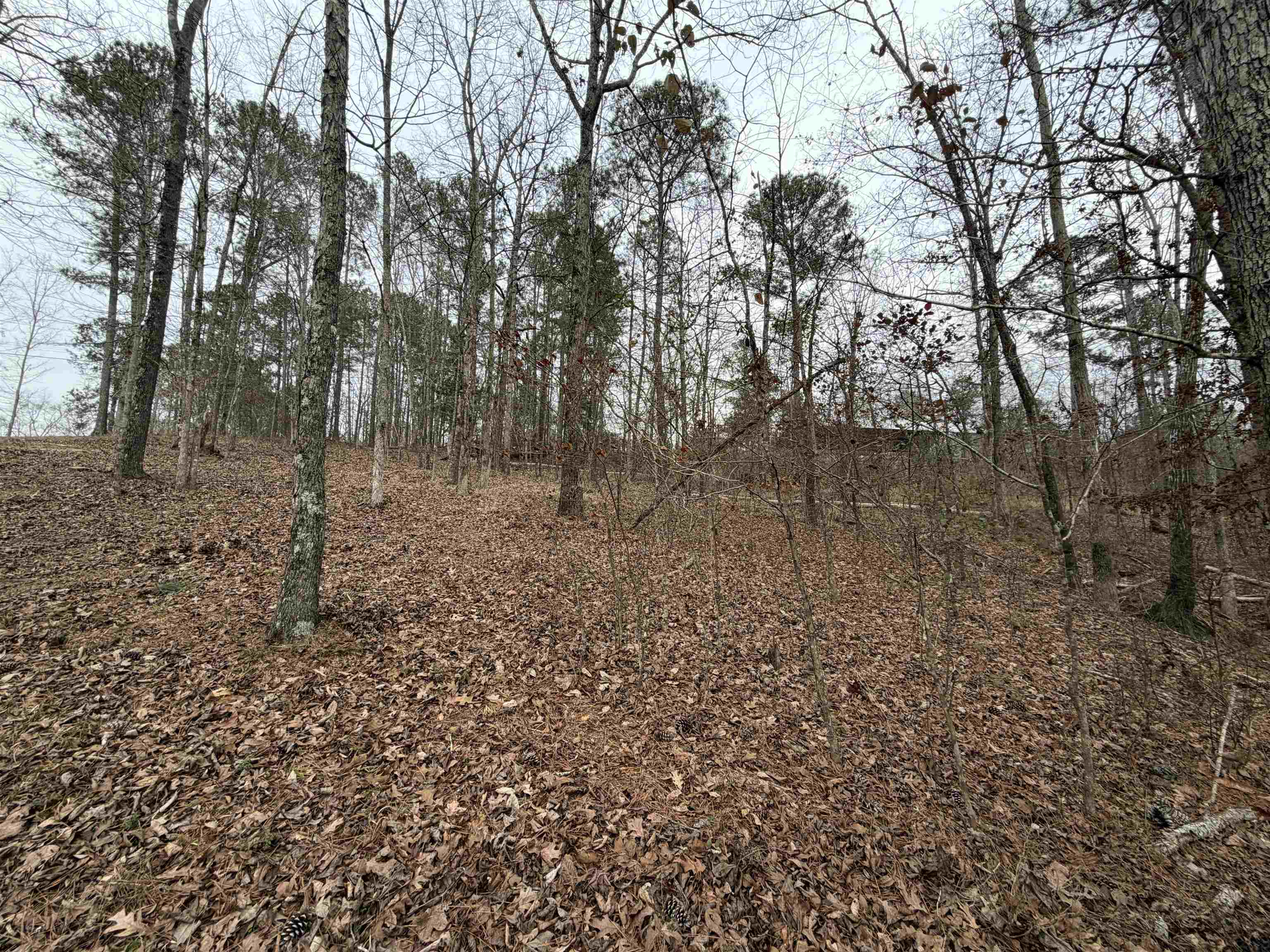 Lot 123 LOOKOUT TRAIL