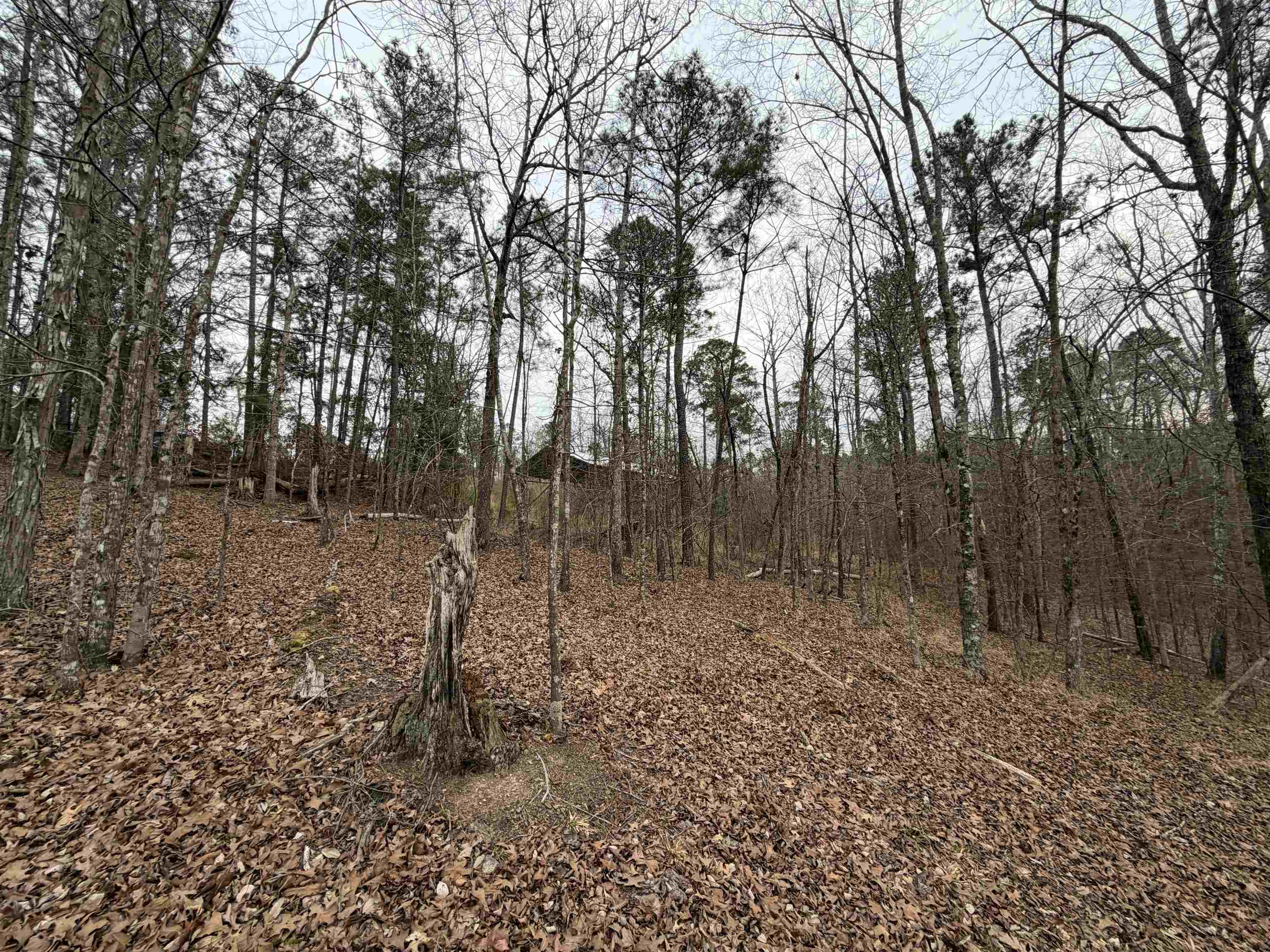 Lot 123 LOOKOUT TRAIL