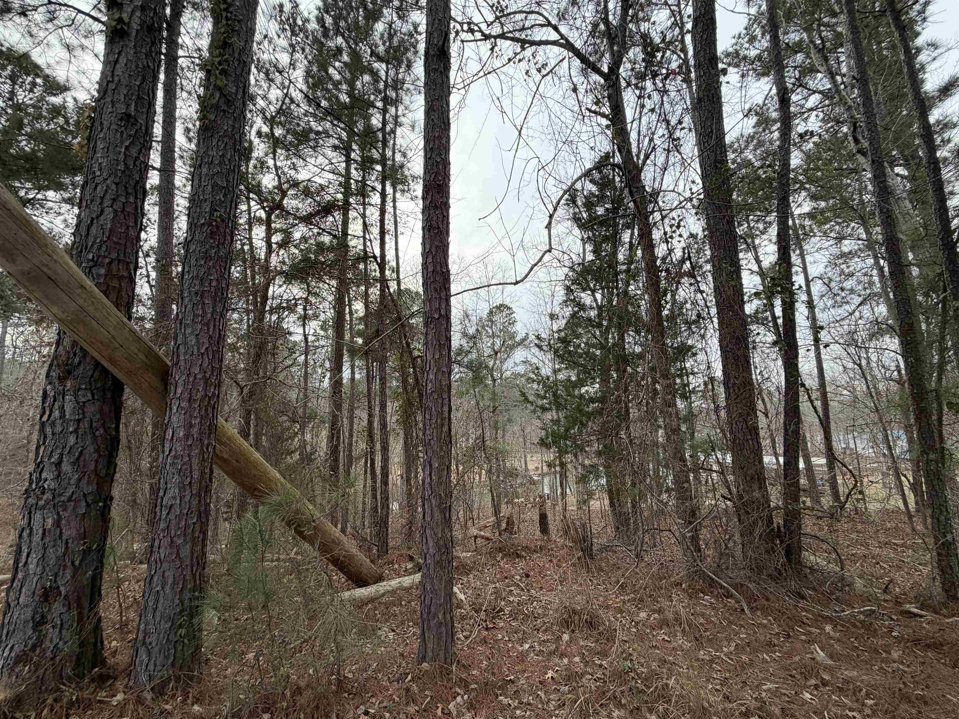 Lot 123 LOOKOUT TRAIL