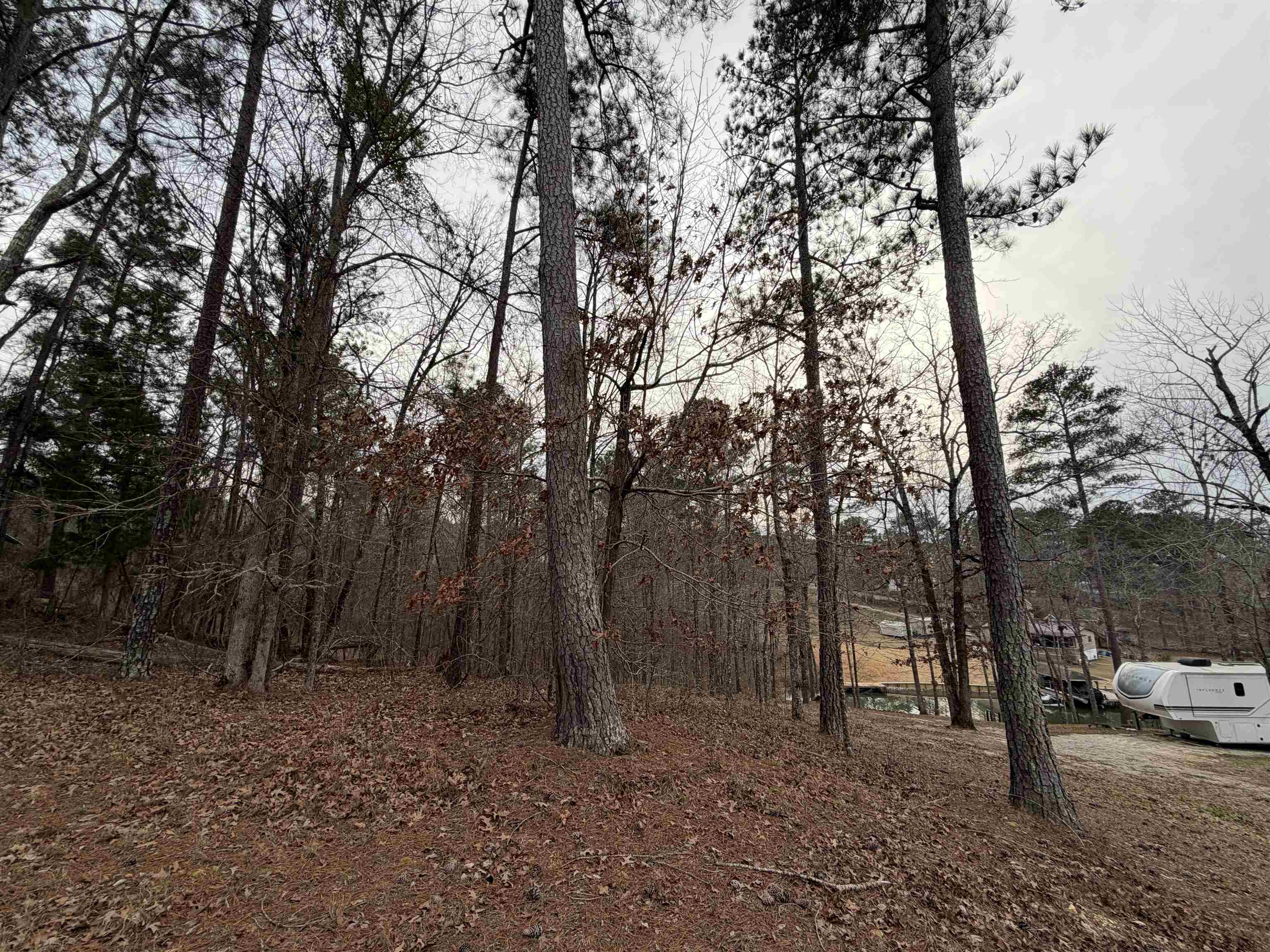 Lot 123 LOOKOUT TRAIL