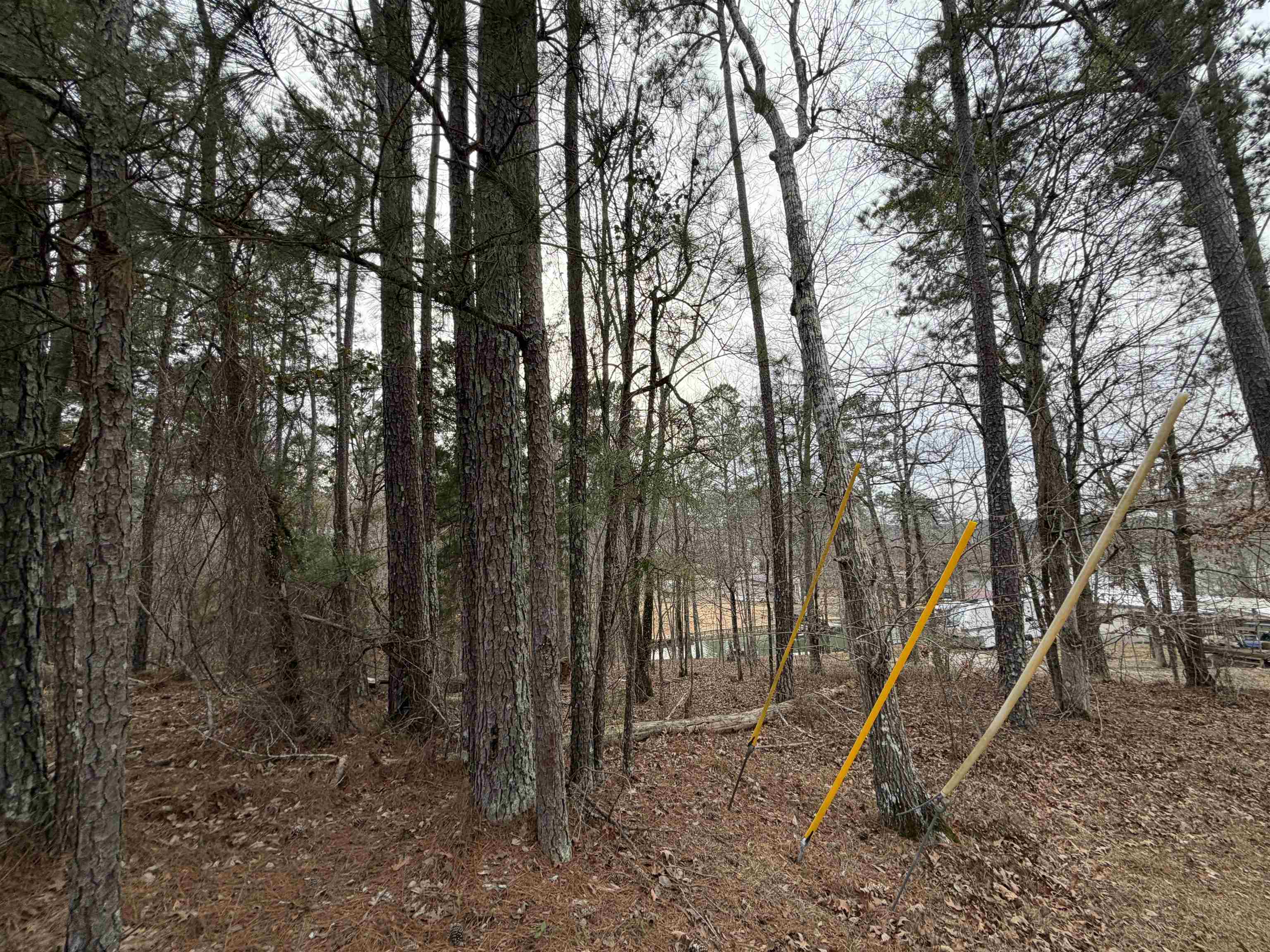 Lot 123 LOOKOUT TRAIL