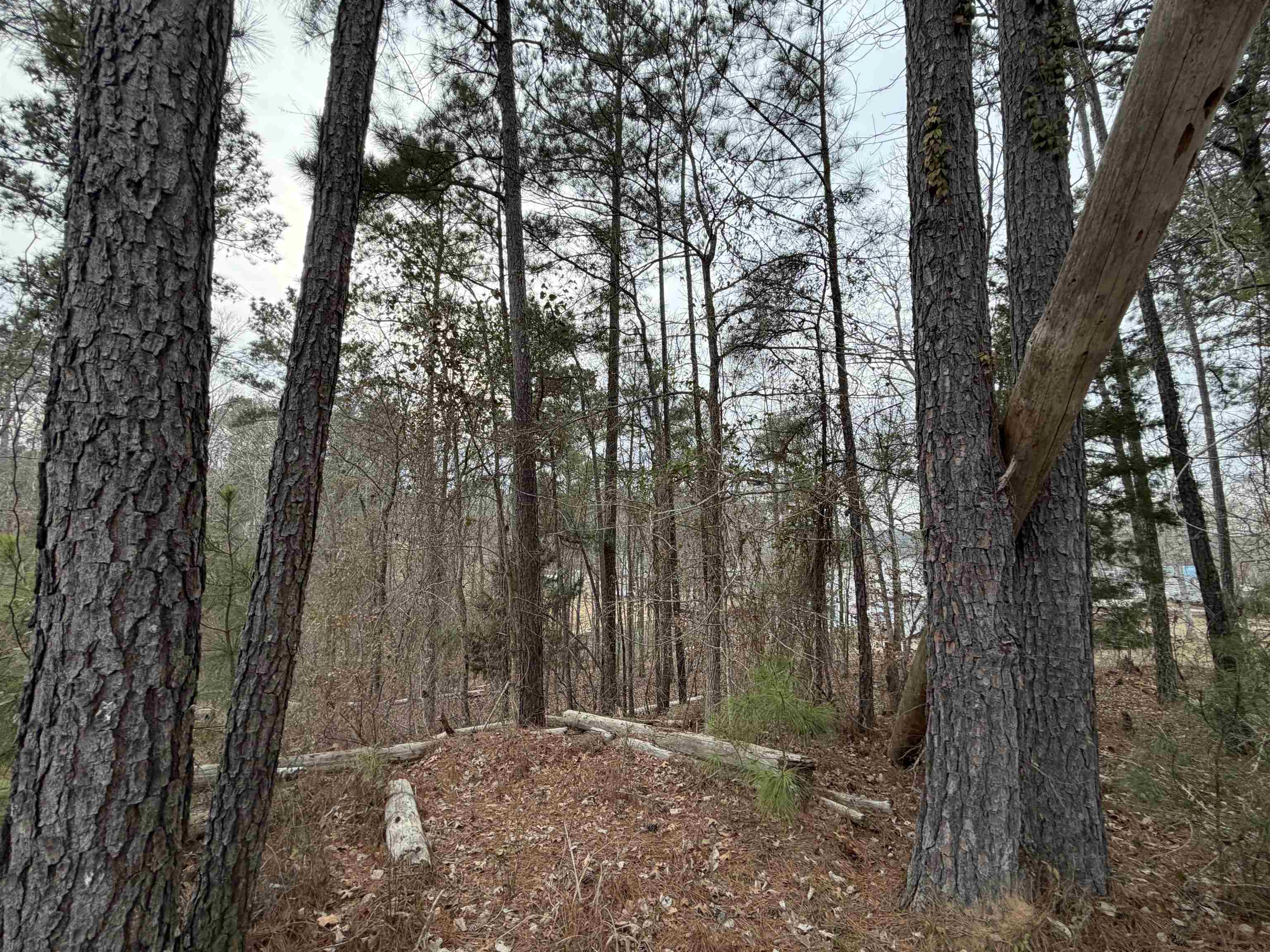 Lot 123 LOOKOUT TRAIL