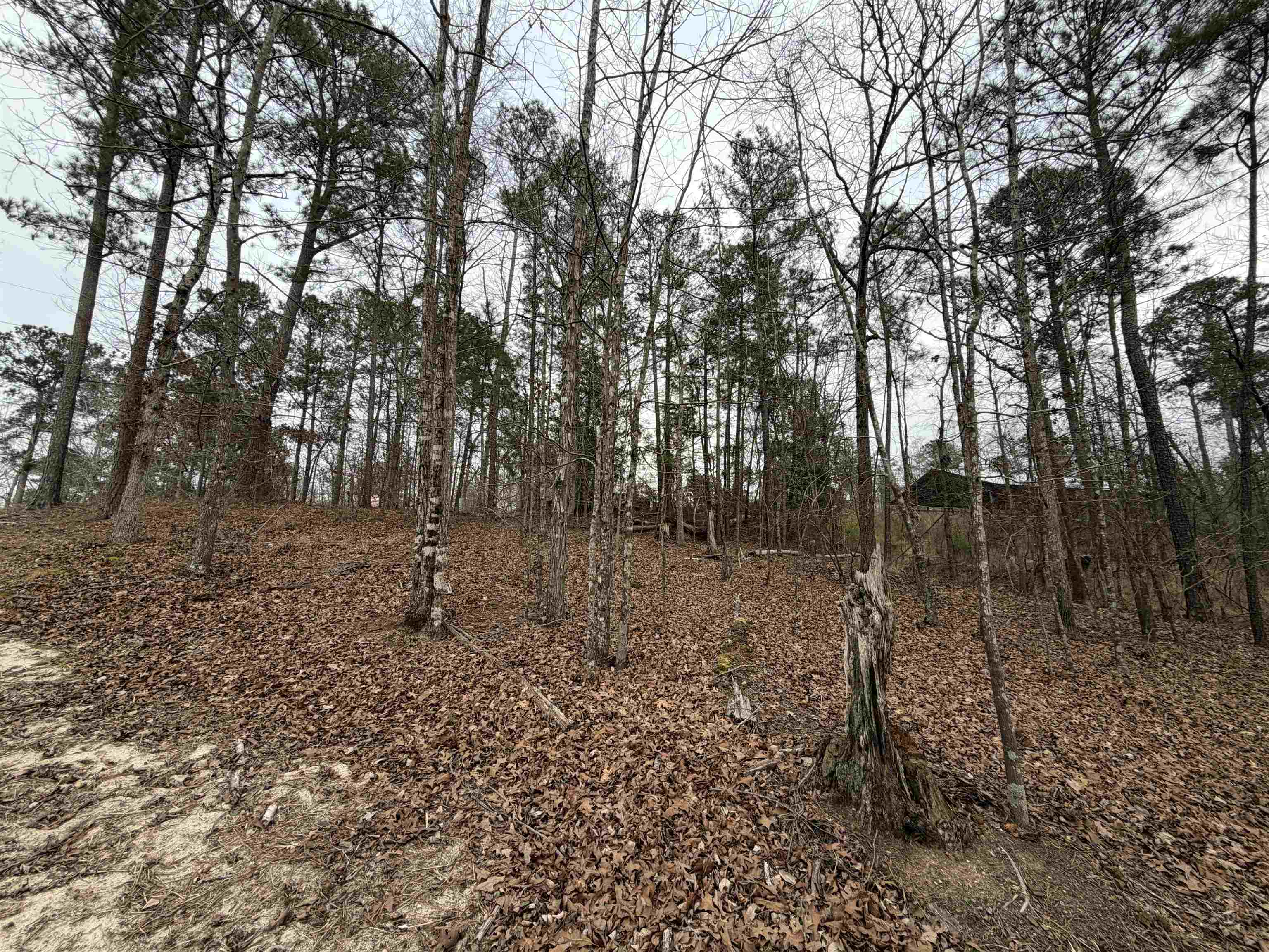 Lot 123 LOOKOUT TRAIL