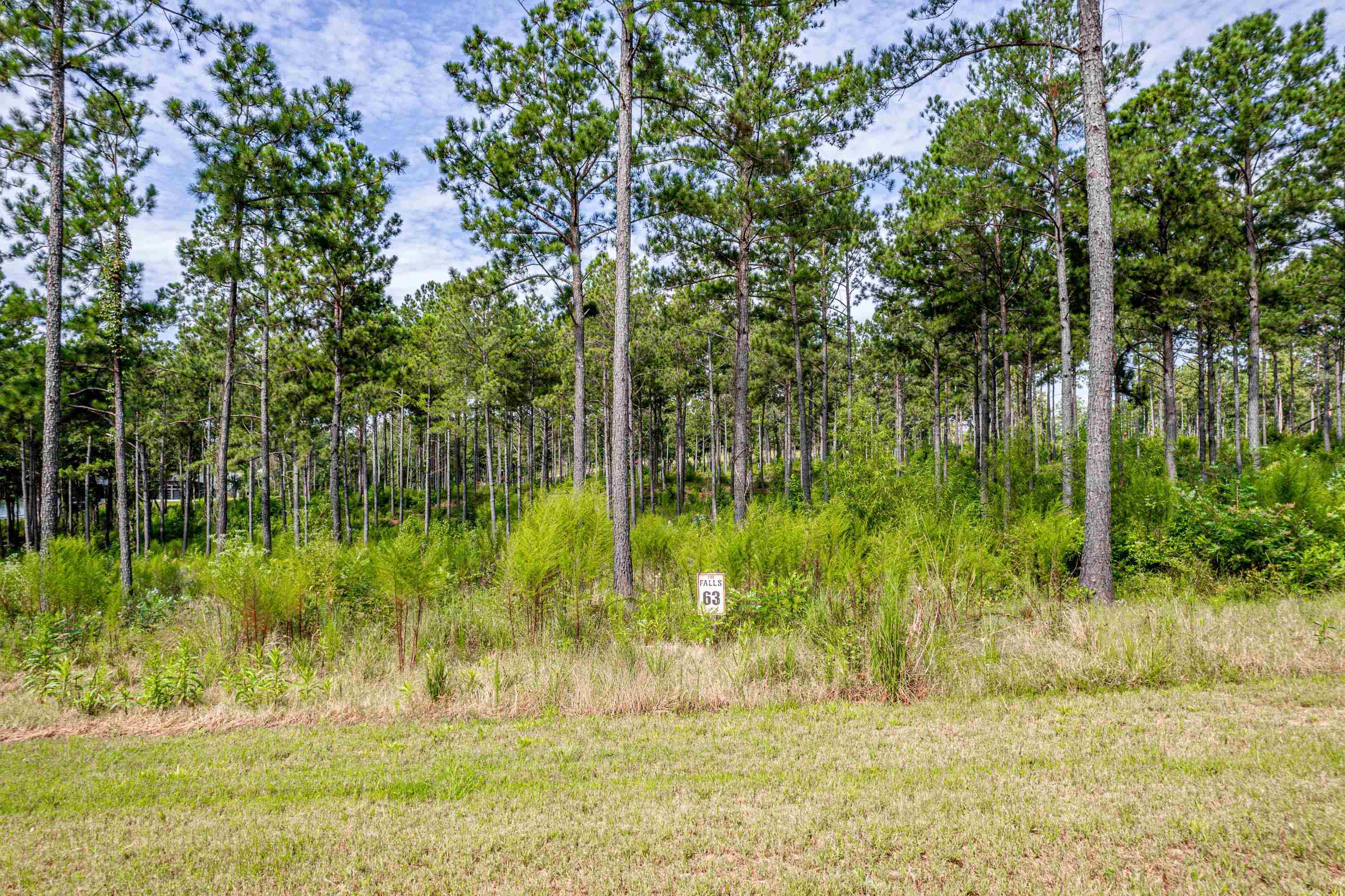 302 WIND ROCK RIDGE # 63