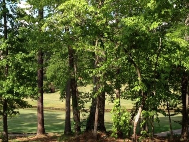 1100 CARNOUSTIE DRIVE # 0