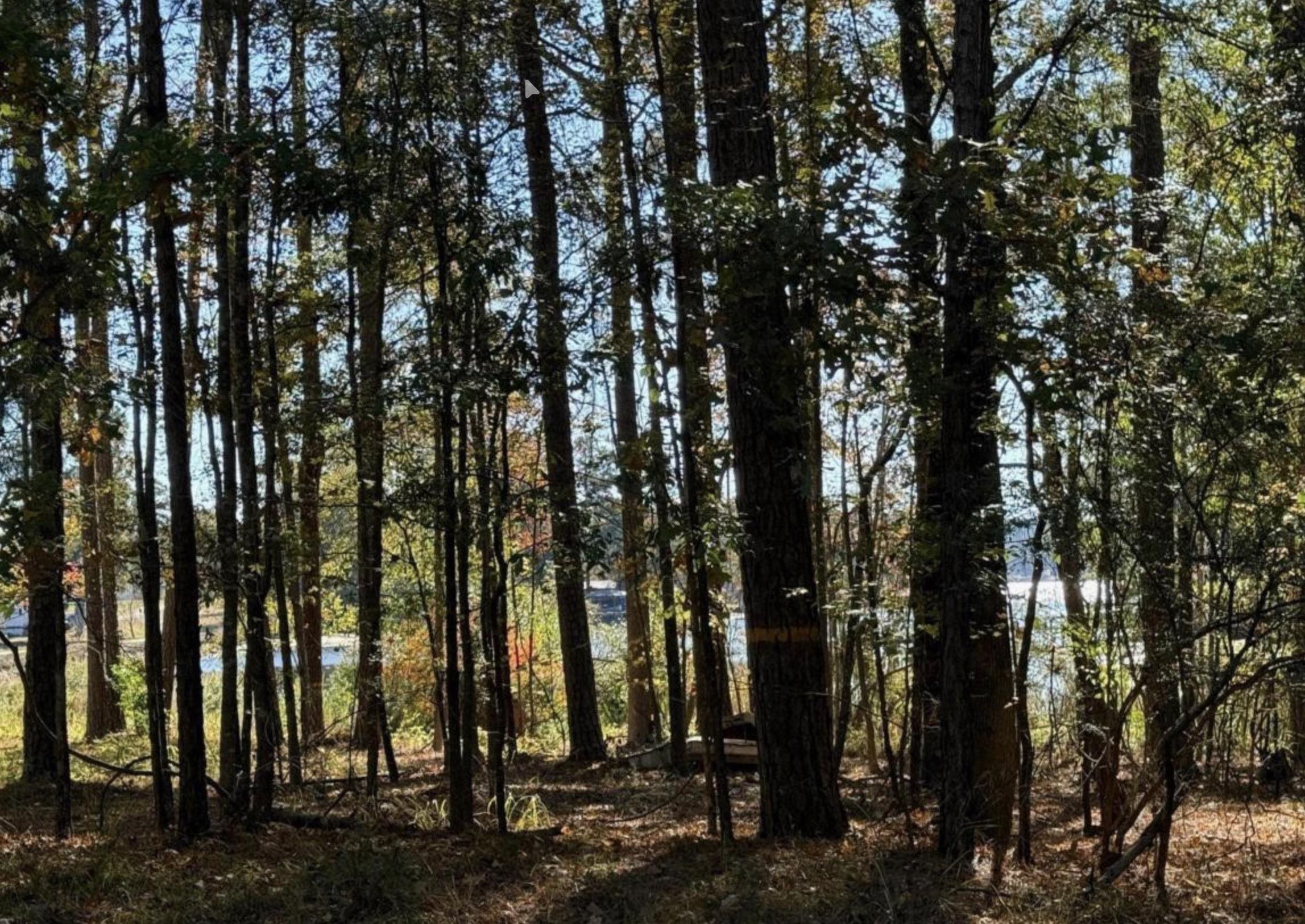 315 SINCLAIR ROAD # A15