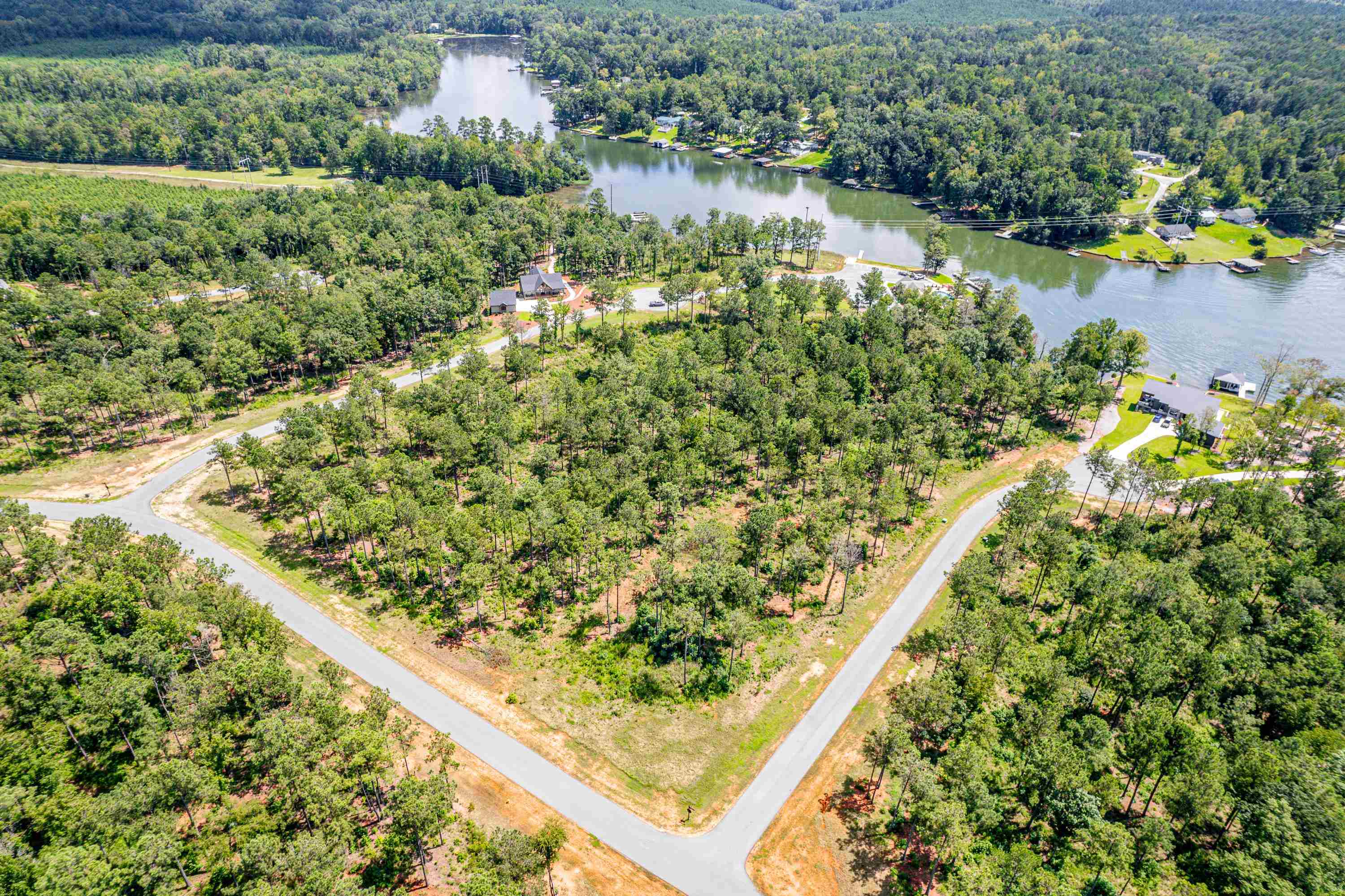 401 WHITE OAK COVE # 61