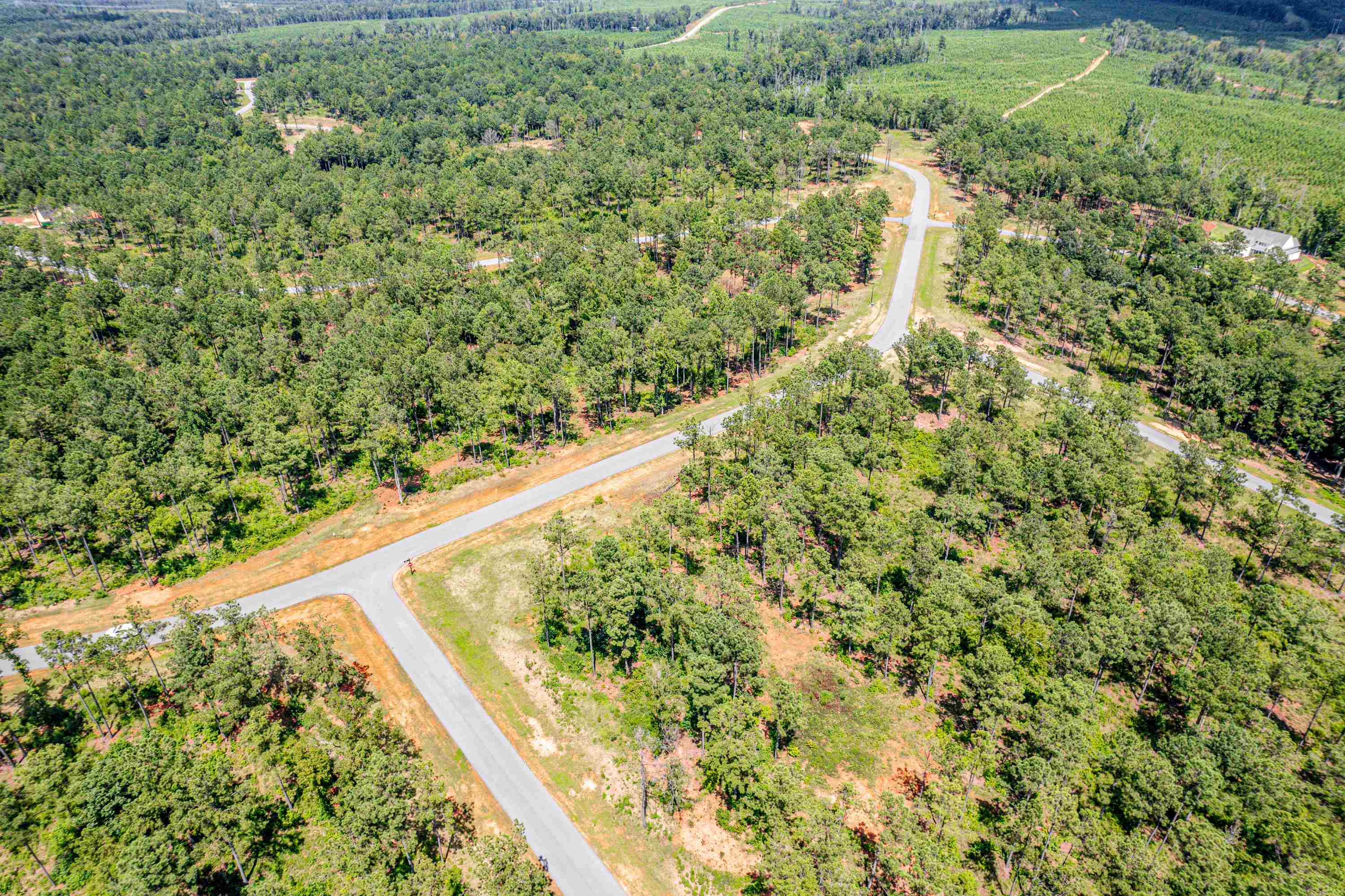 401 WHITE OAK COVE # 61