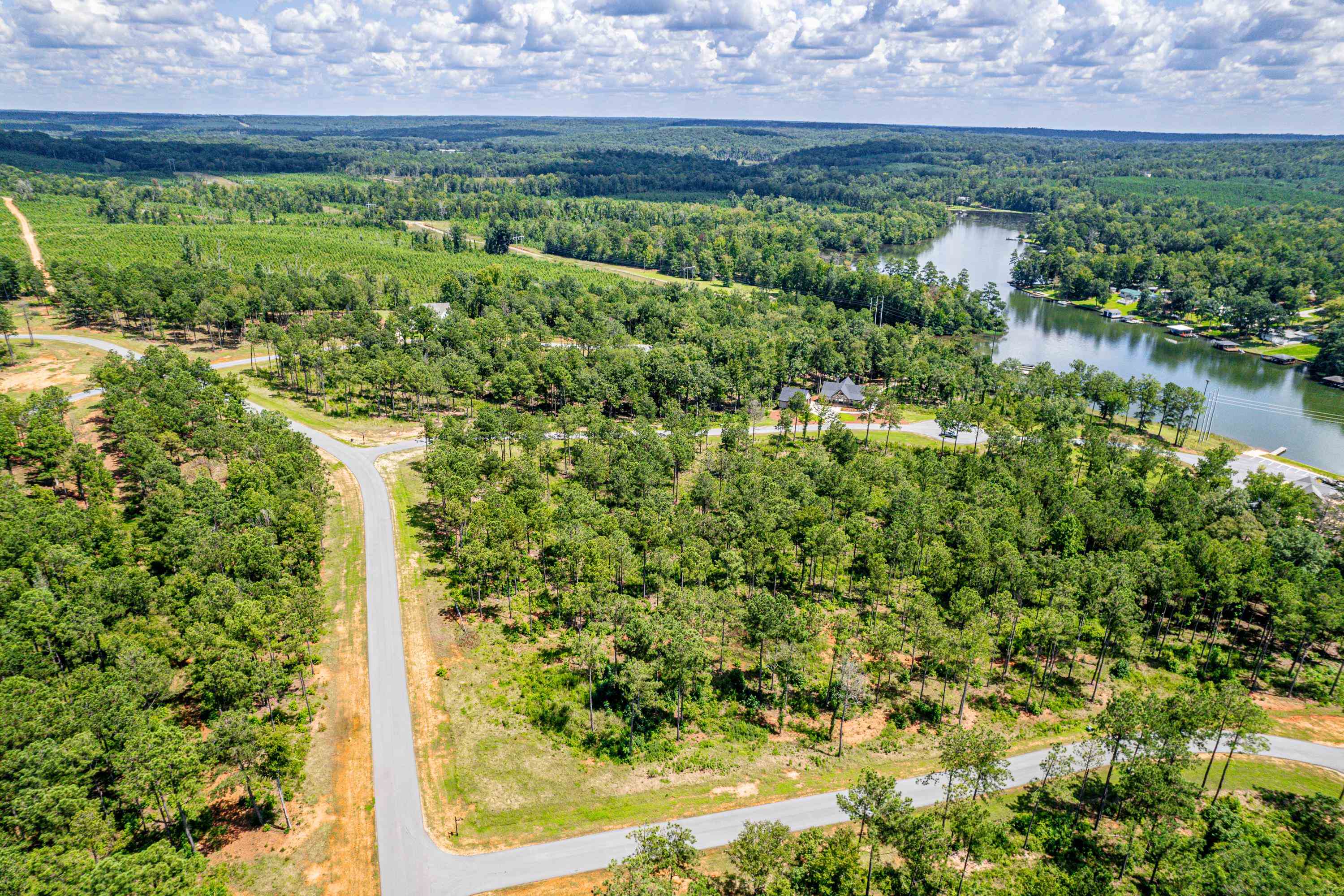 401 WHITE OAK COVE # 61