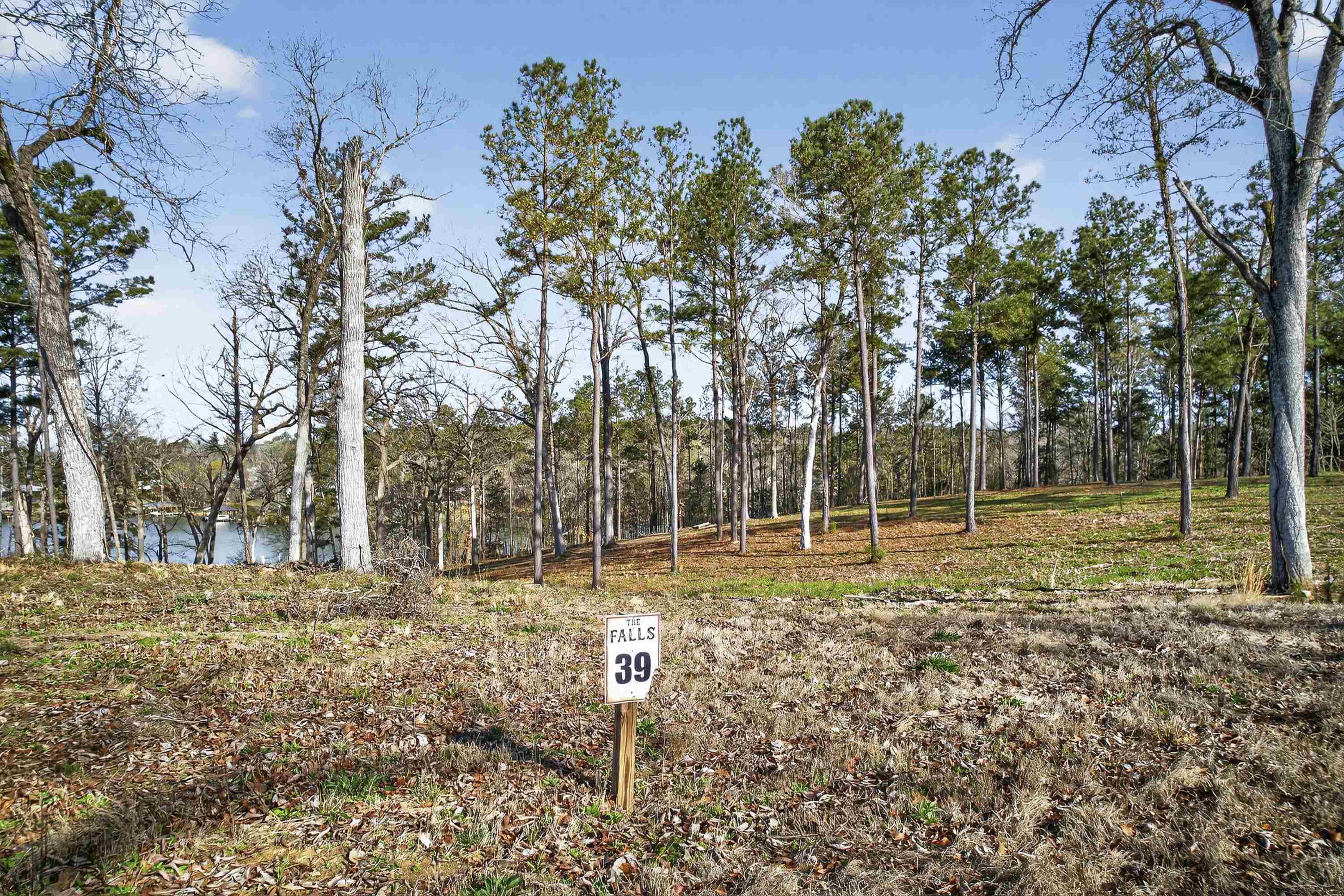 218 FALLS LANE # 39