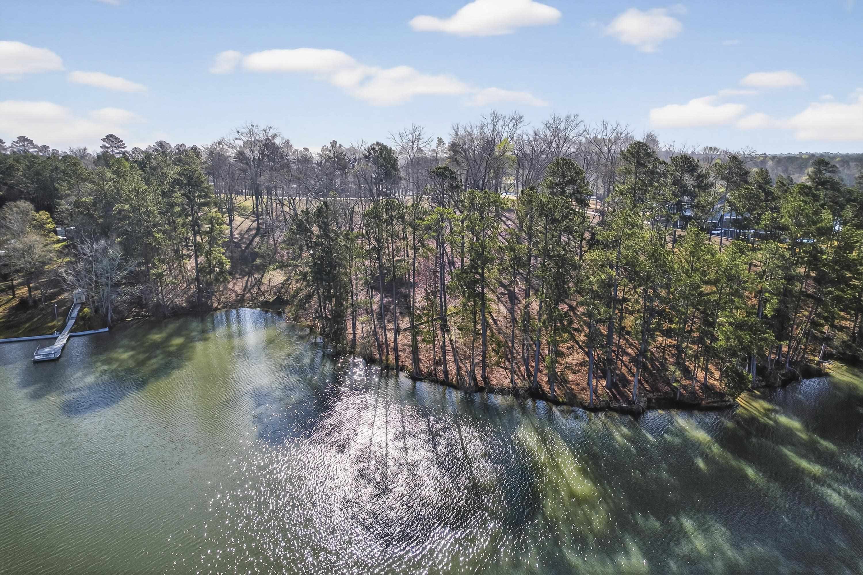 218 FALLS LANE # 39