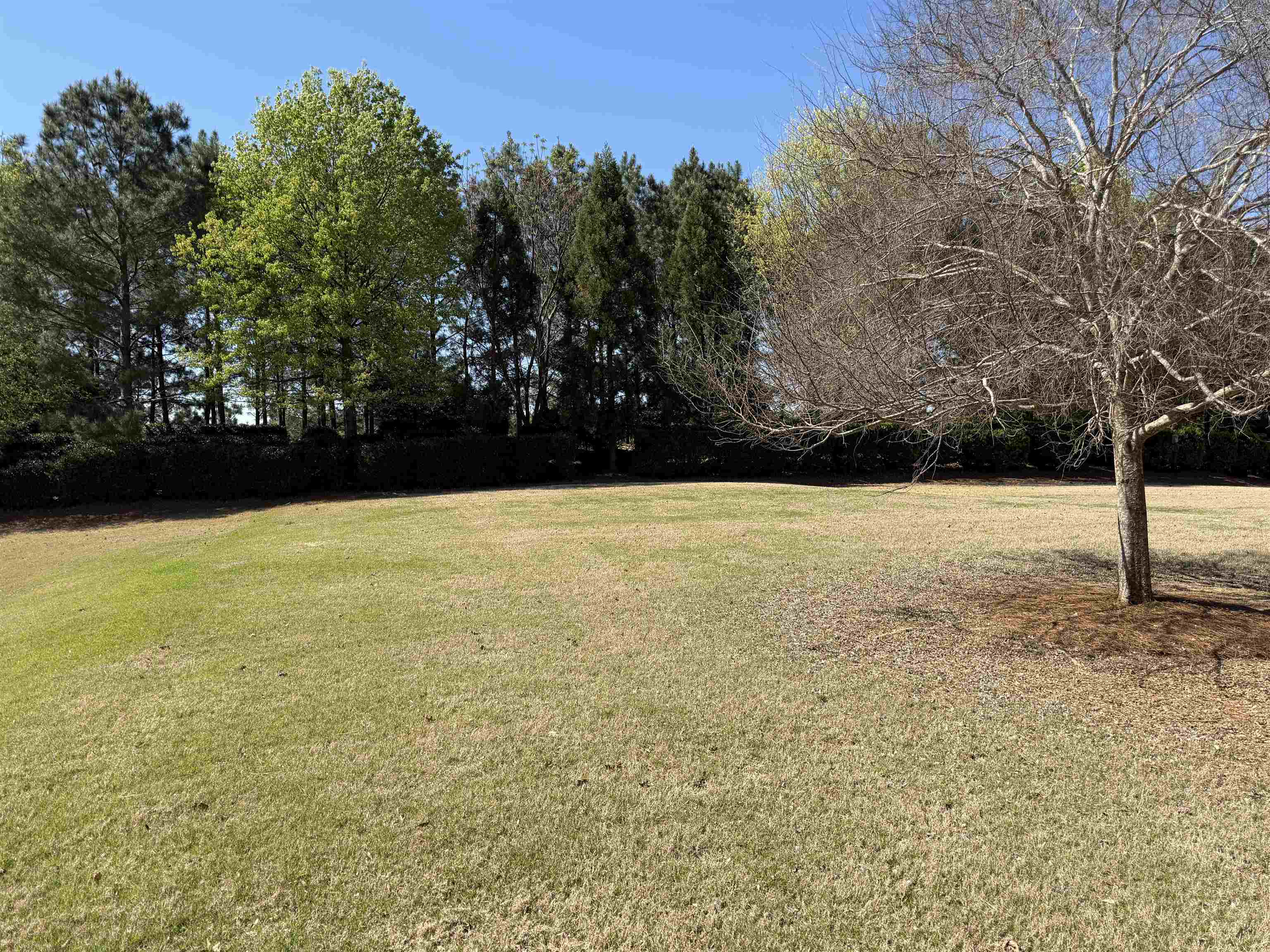 1320 SUMMER HOLLOW ROAD