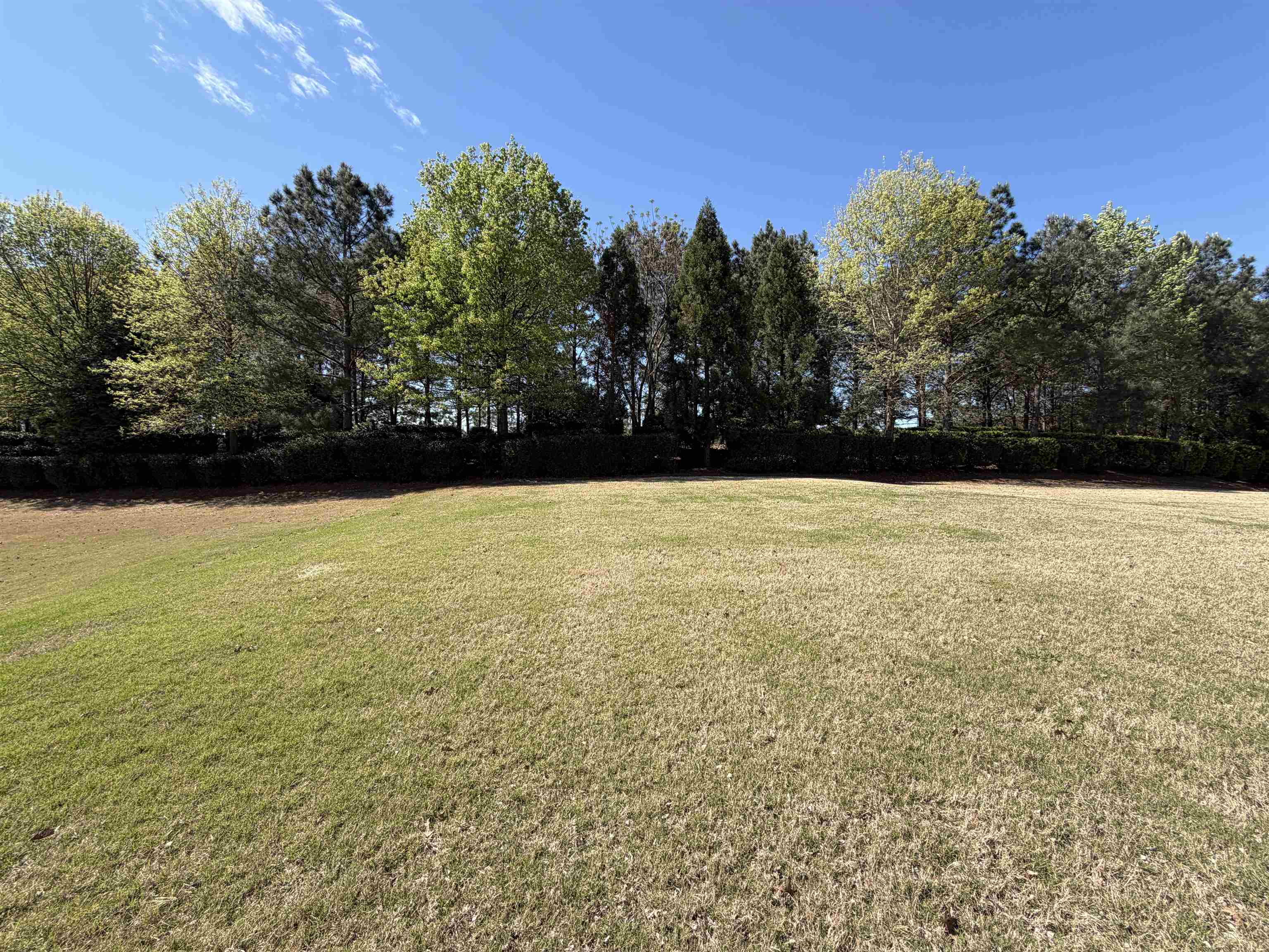 1320 SUMMER HOLLOW ROAD