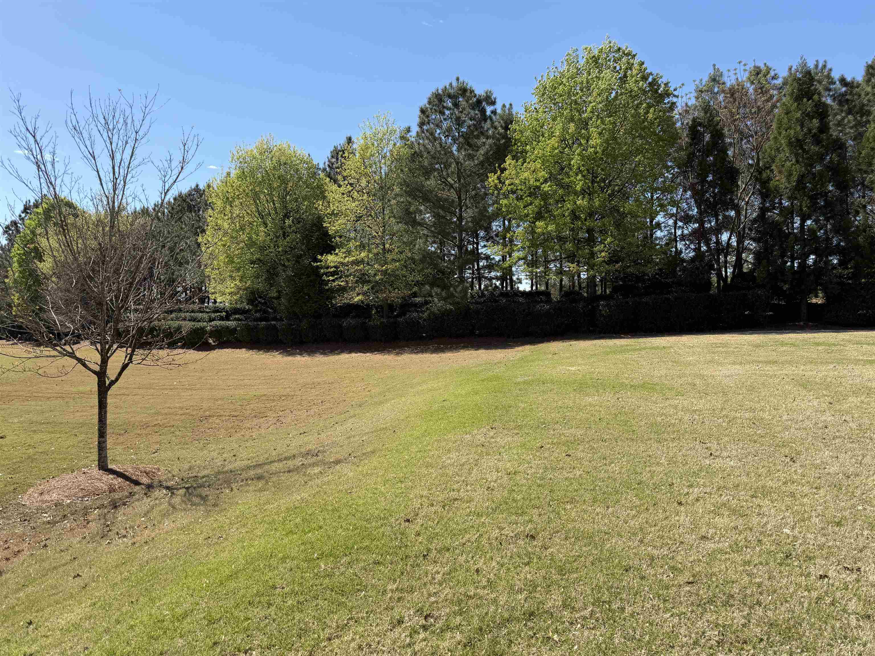 1320 SUMMER HOLLOW ROAD